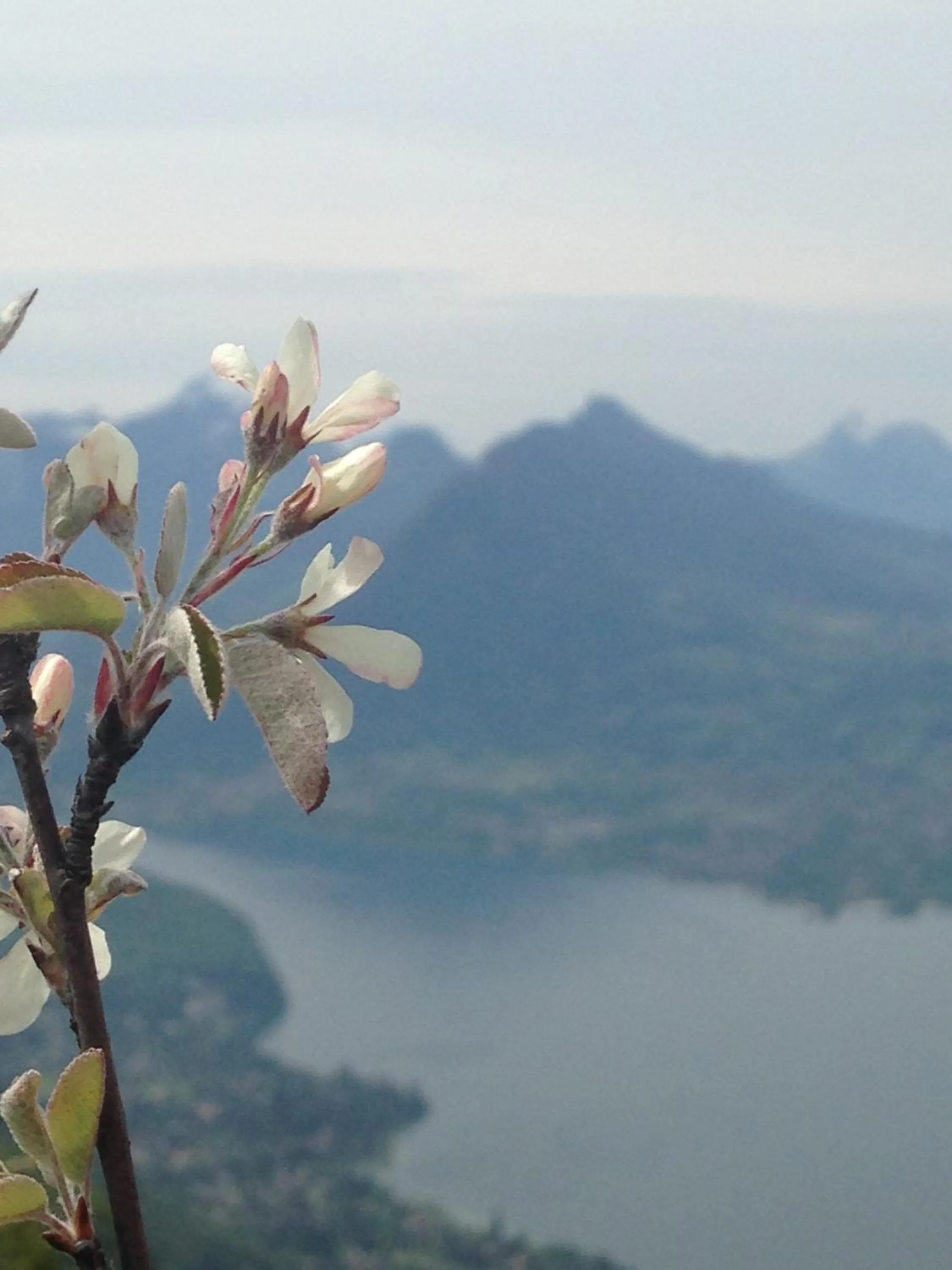 Nearby landmark in B&B Le Sourire du Lac