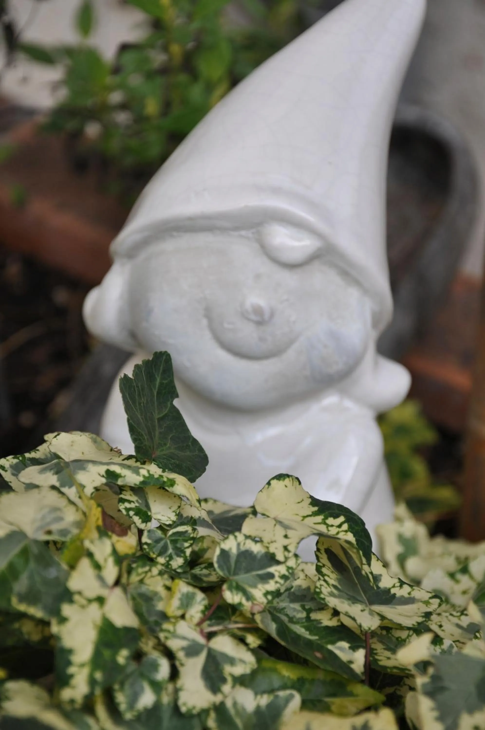 Garden in Les Charmilles