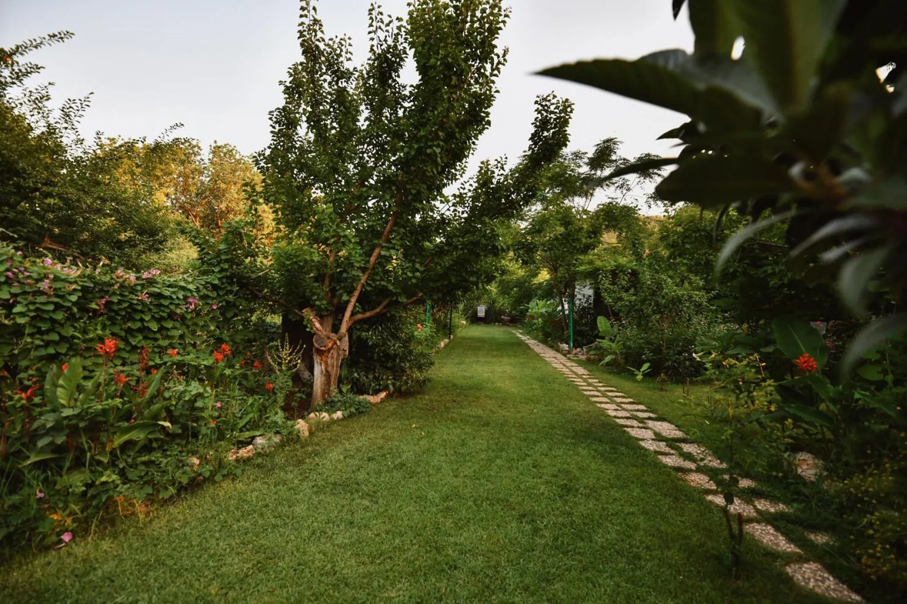 Natural landscape in Pyramid Boutique Hotel