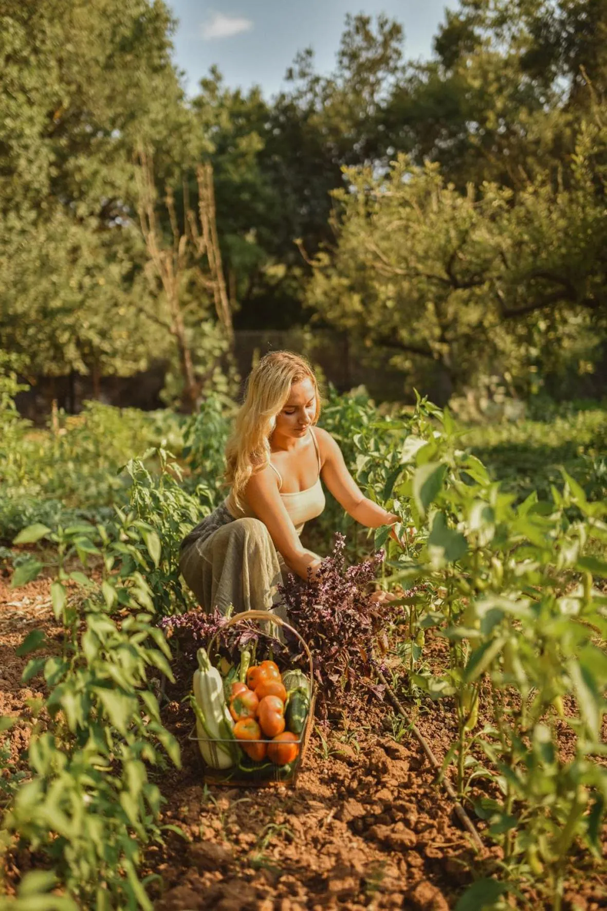 Garden in Pyramid Boutique Hotel