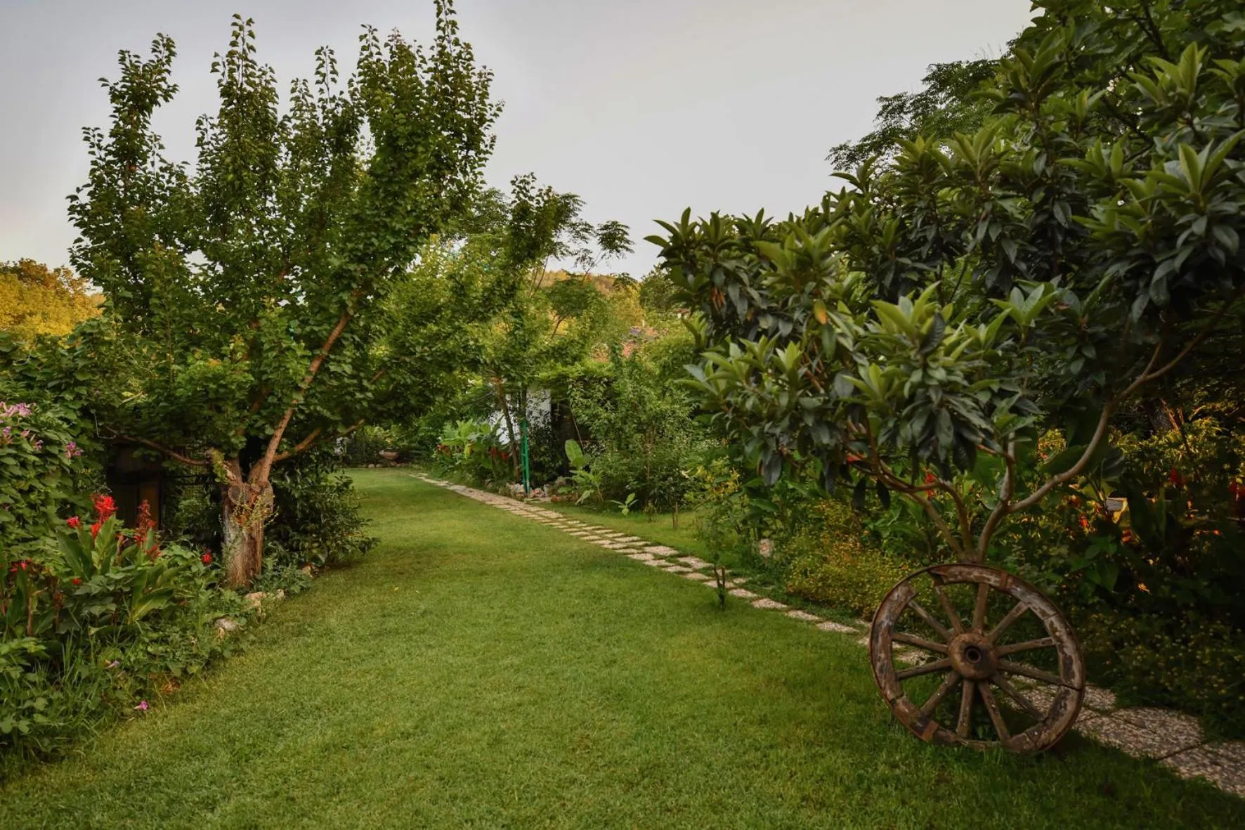 Natural landscape in Pyramid Boutique Hotel