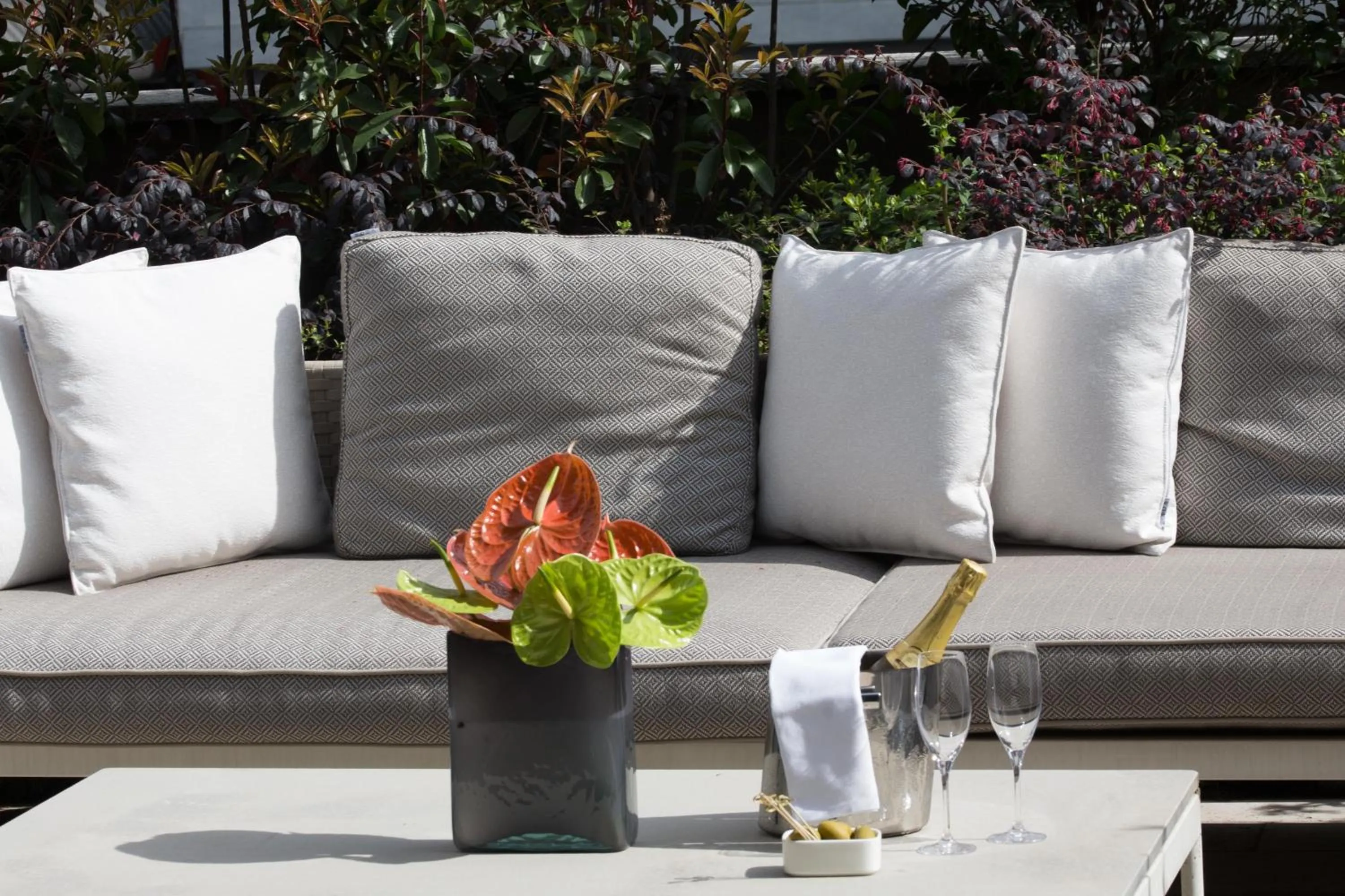 Drinks in Fifty House