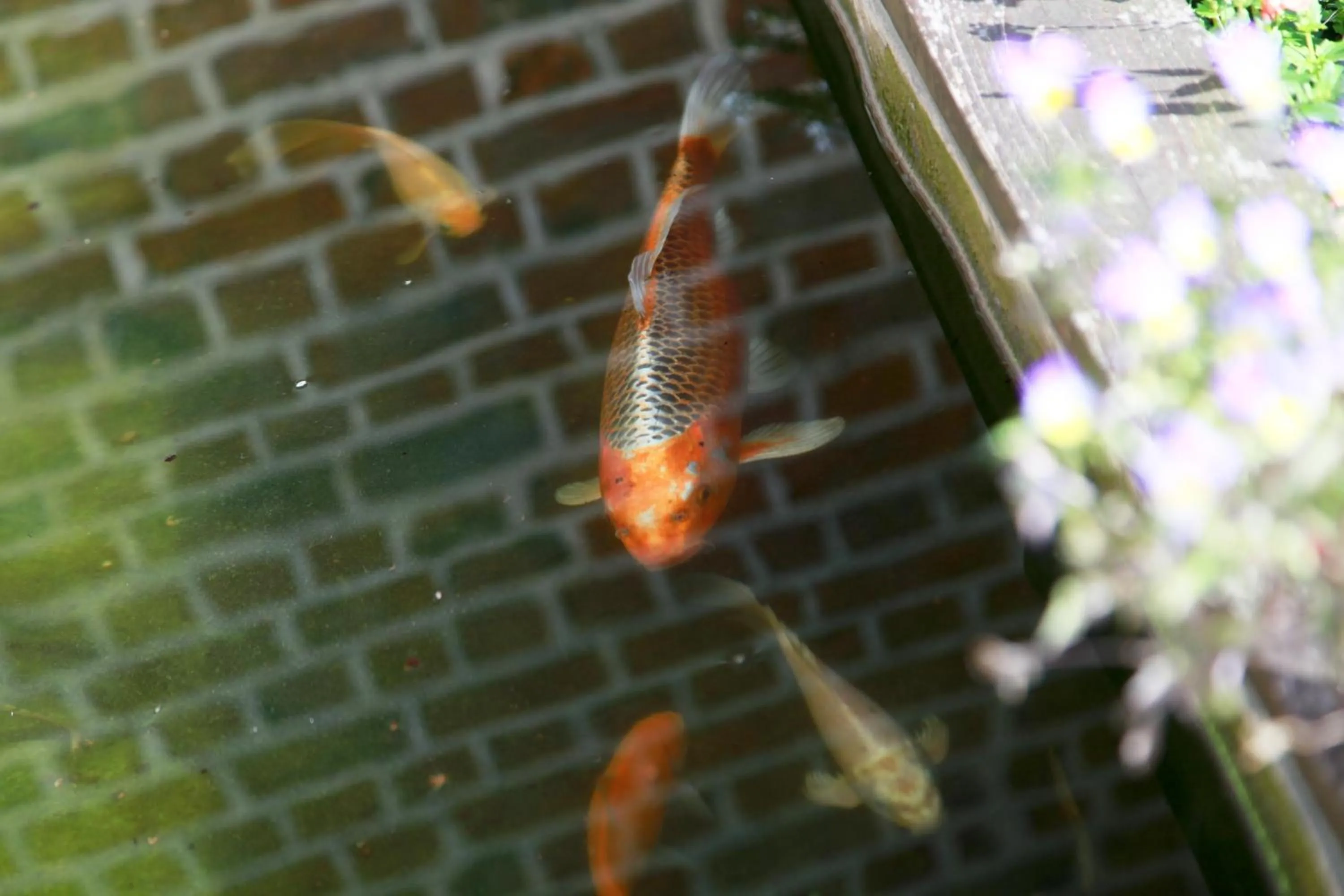 Other in Chambres Du Marais