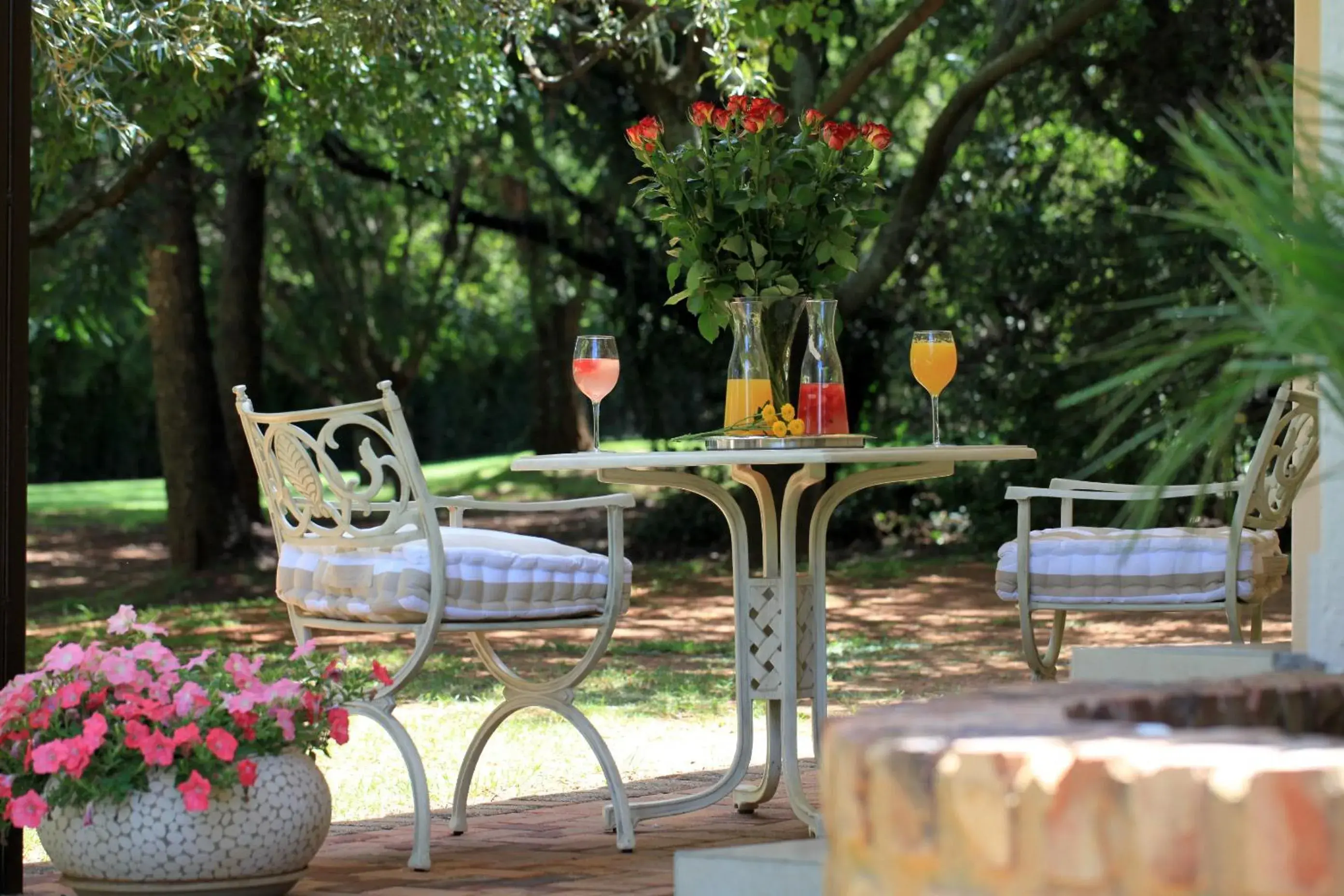 One-Bedroom Family Suite - single occupancy in Andante Lodge One-Bedroom Family Suite - single occupancy in Andante Lodge