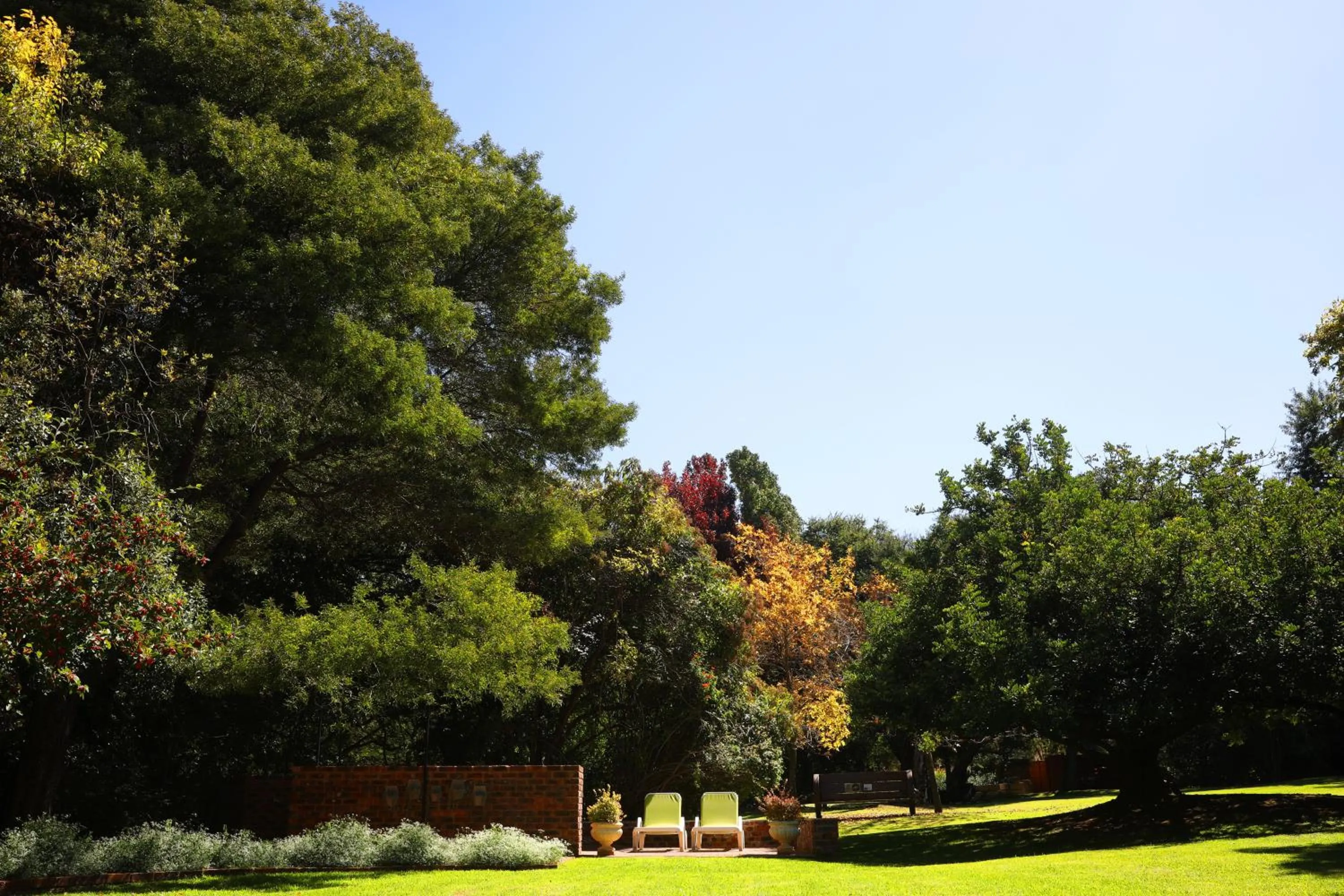 Day in Andante Lodge