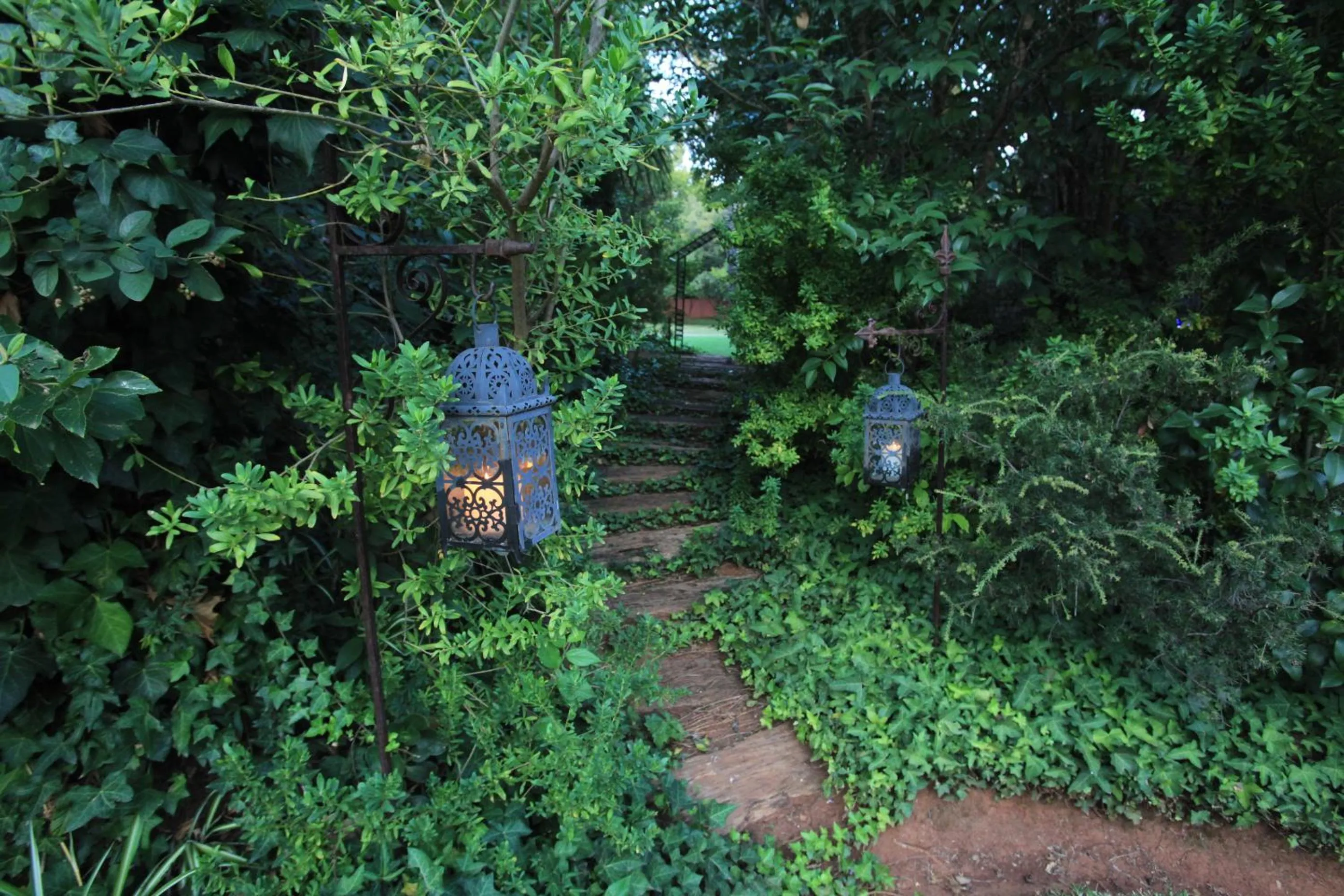 Garden in Andante Lodge