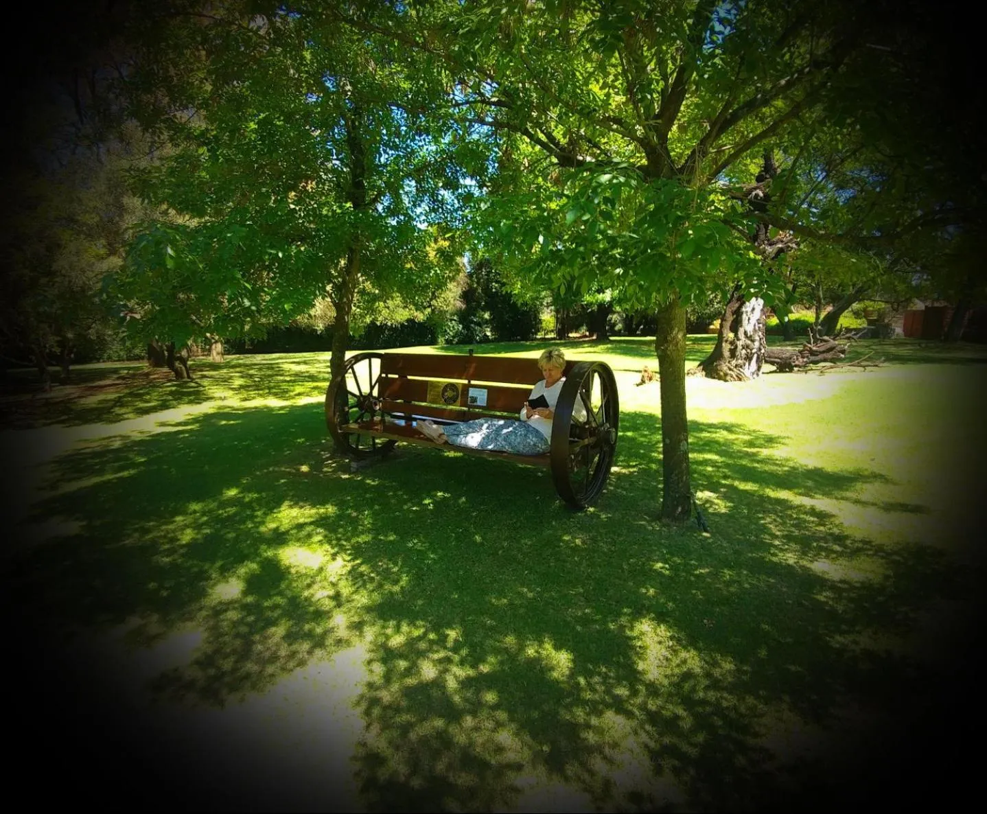 Day in Andante Lodge