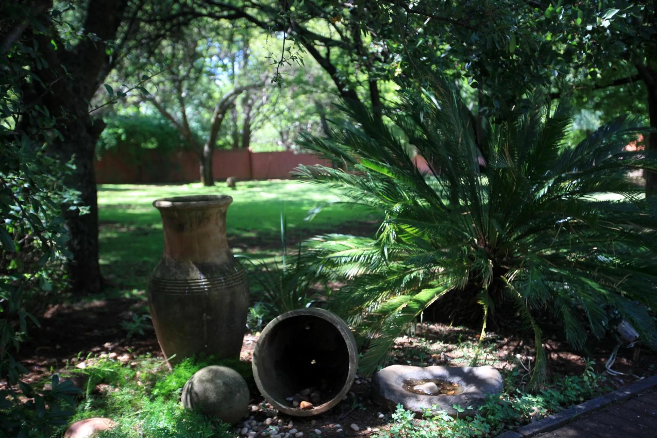 Garden in Andante Lodge