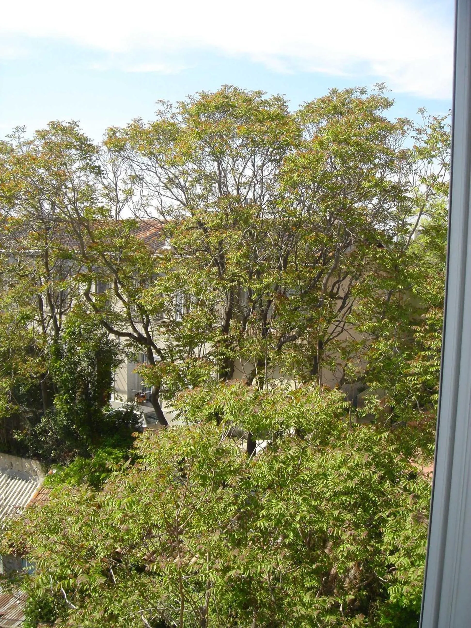 Garden in Résidence Carpe Diem