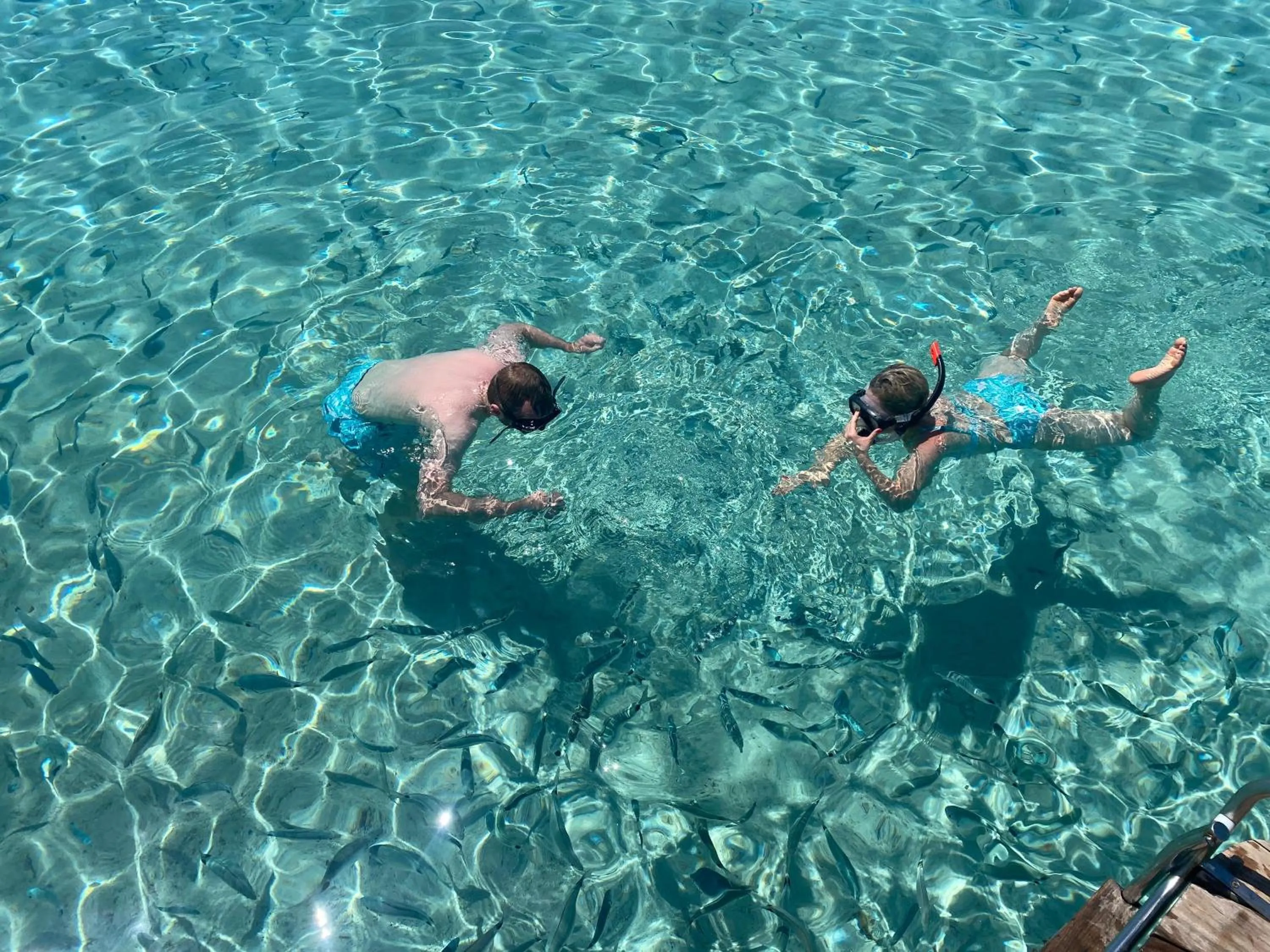 Activities in Casa Ilva