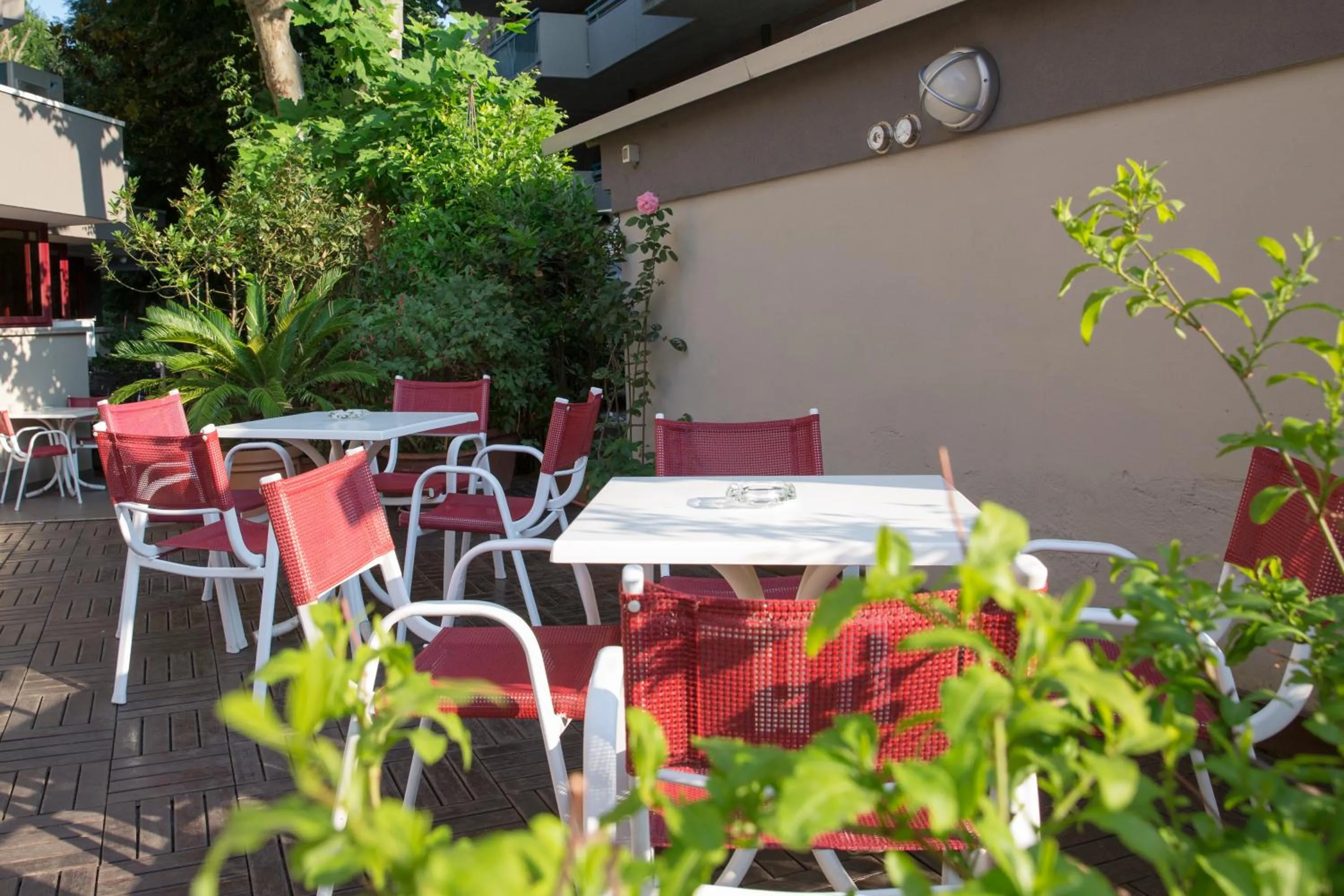 Garden in Hotel Parini