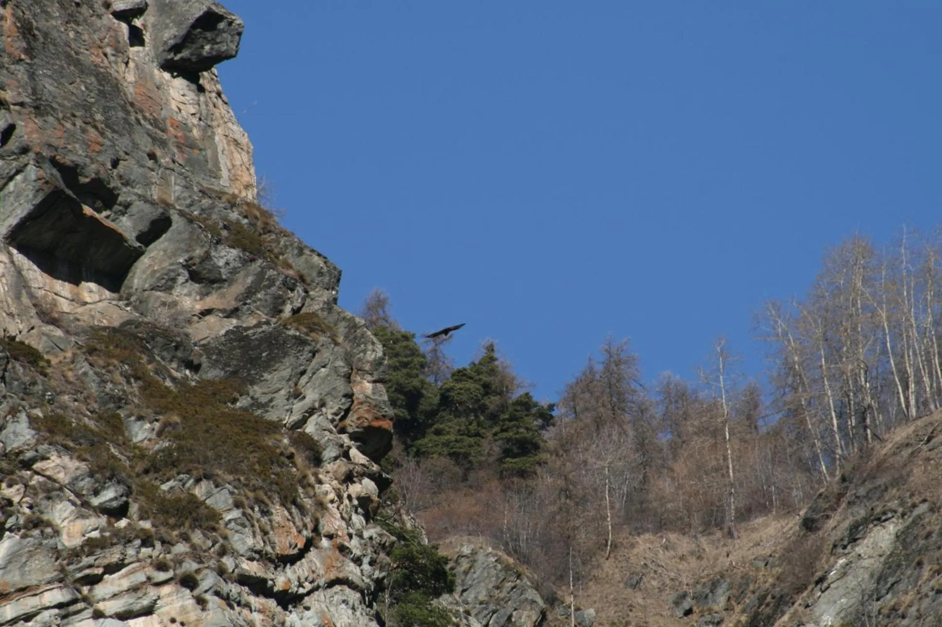 Natural landscape in Albergo La Grolla