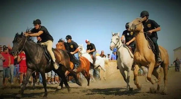 Entertainment, Horseback Riding in B&B Le Quercigliole