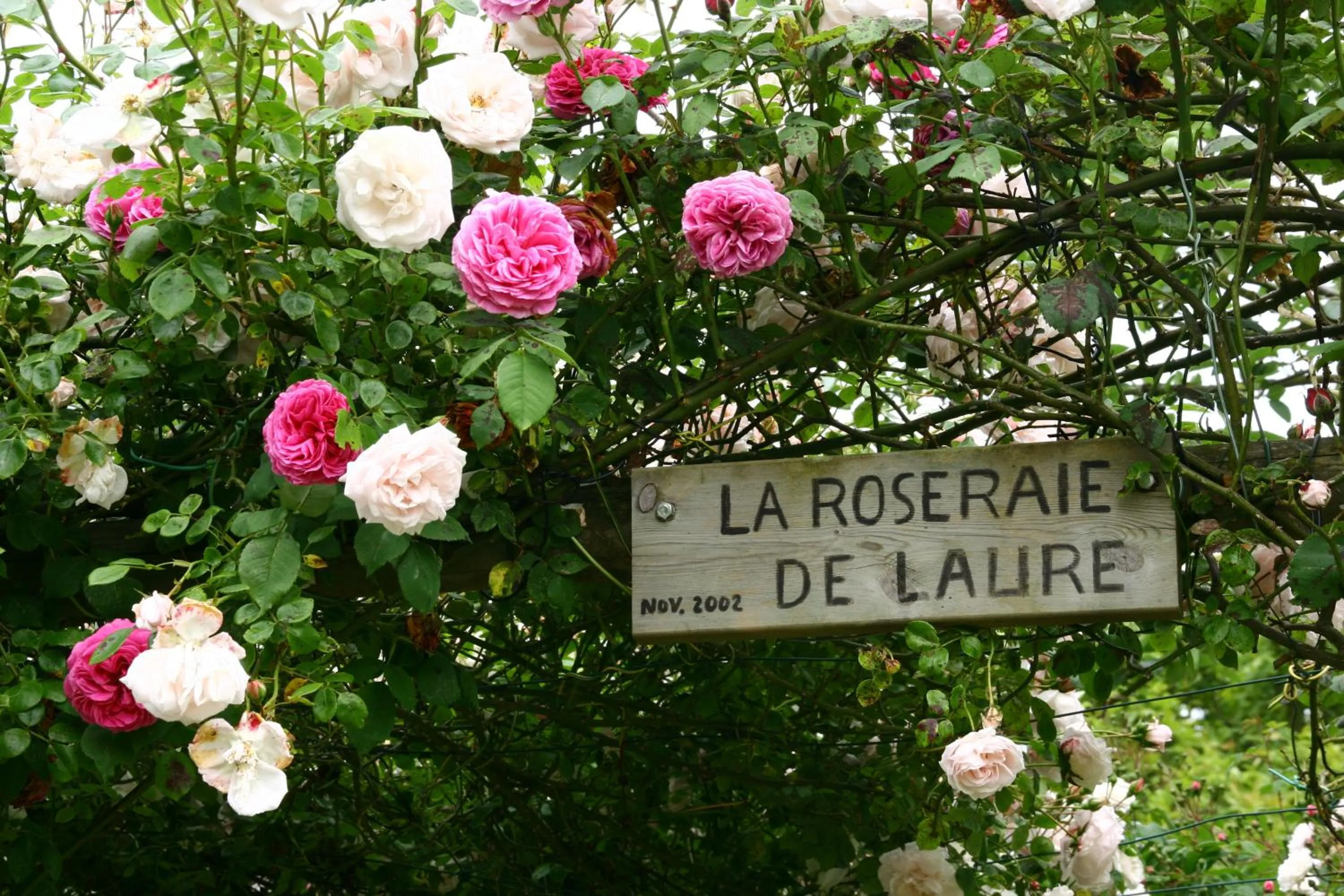 Garden in Chateau de Vouilly