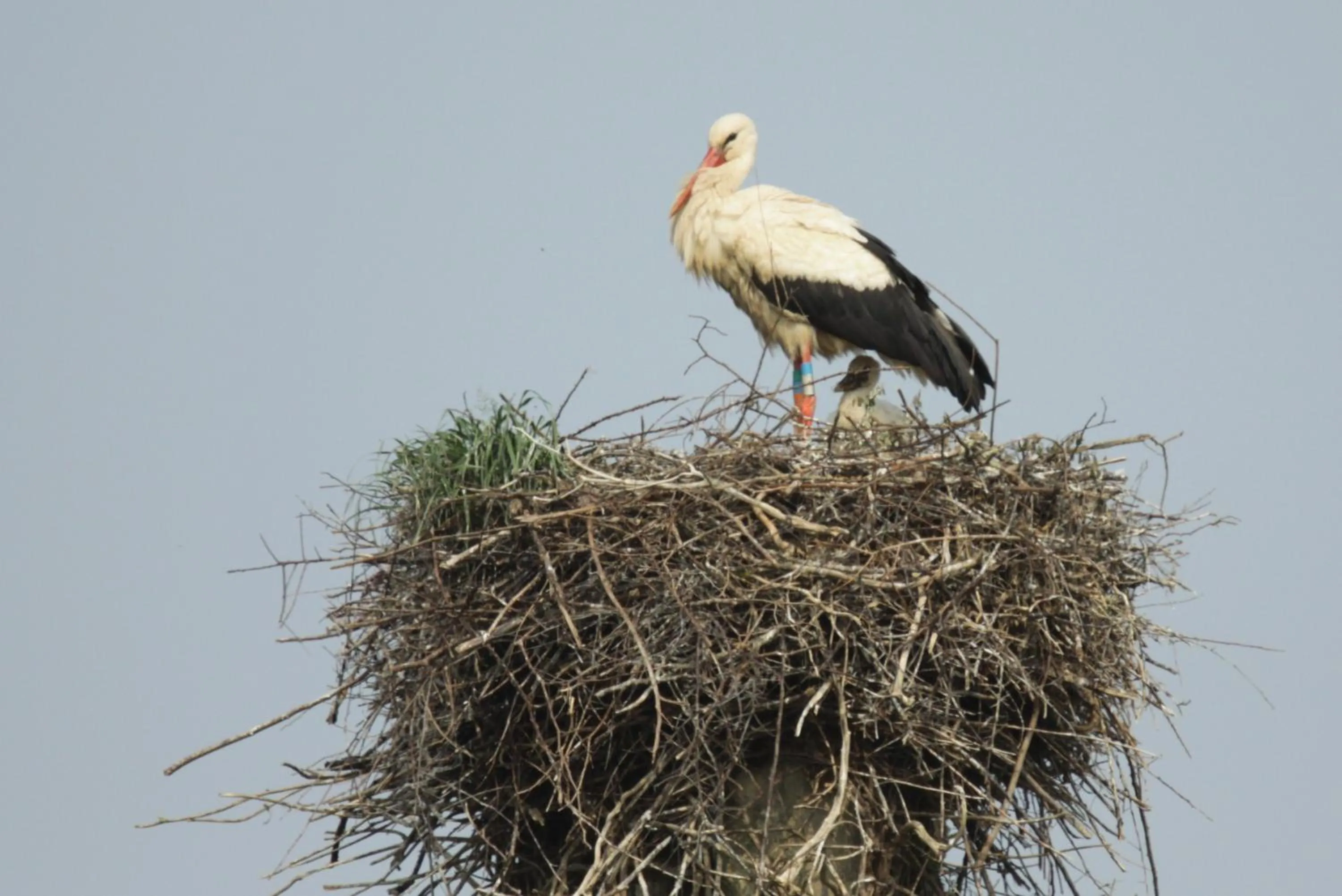 Other in Chateau de Vouilly