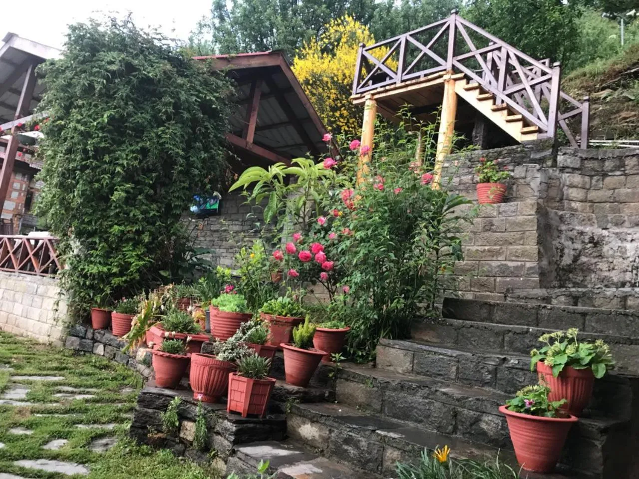 Garden in Himalyan Kothi Kais