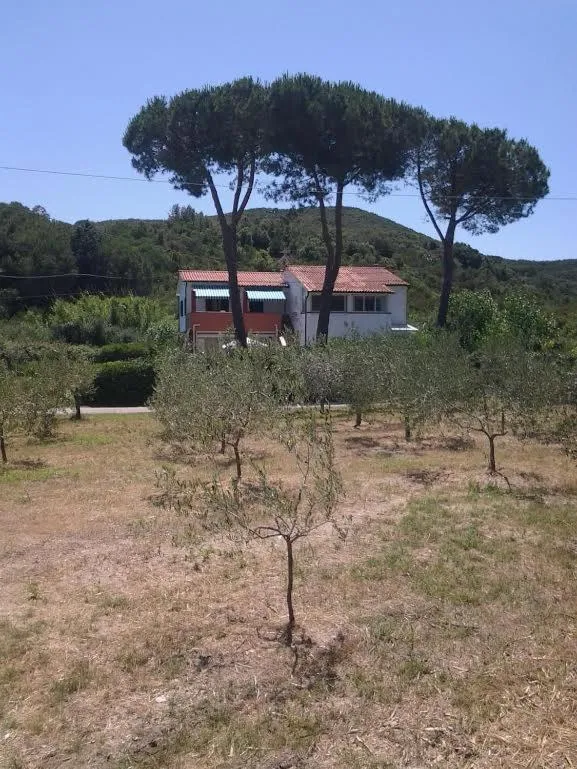 Natural landscape in Hotel Rustichello