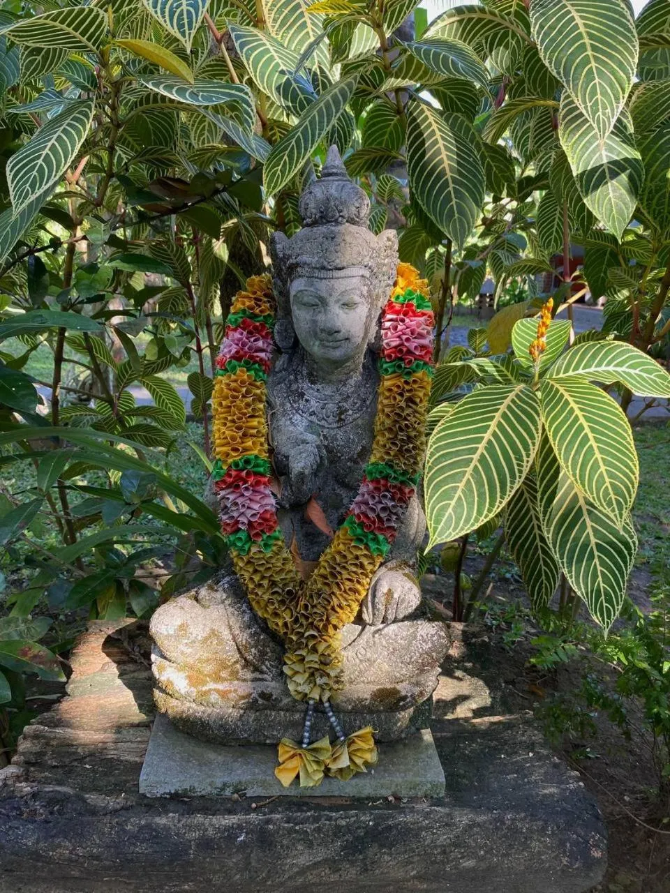 Spring in Didu's Homestay Bed & Breakfast