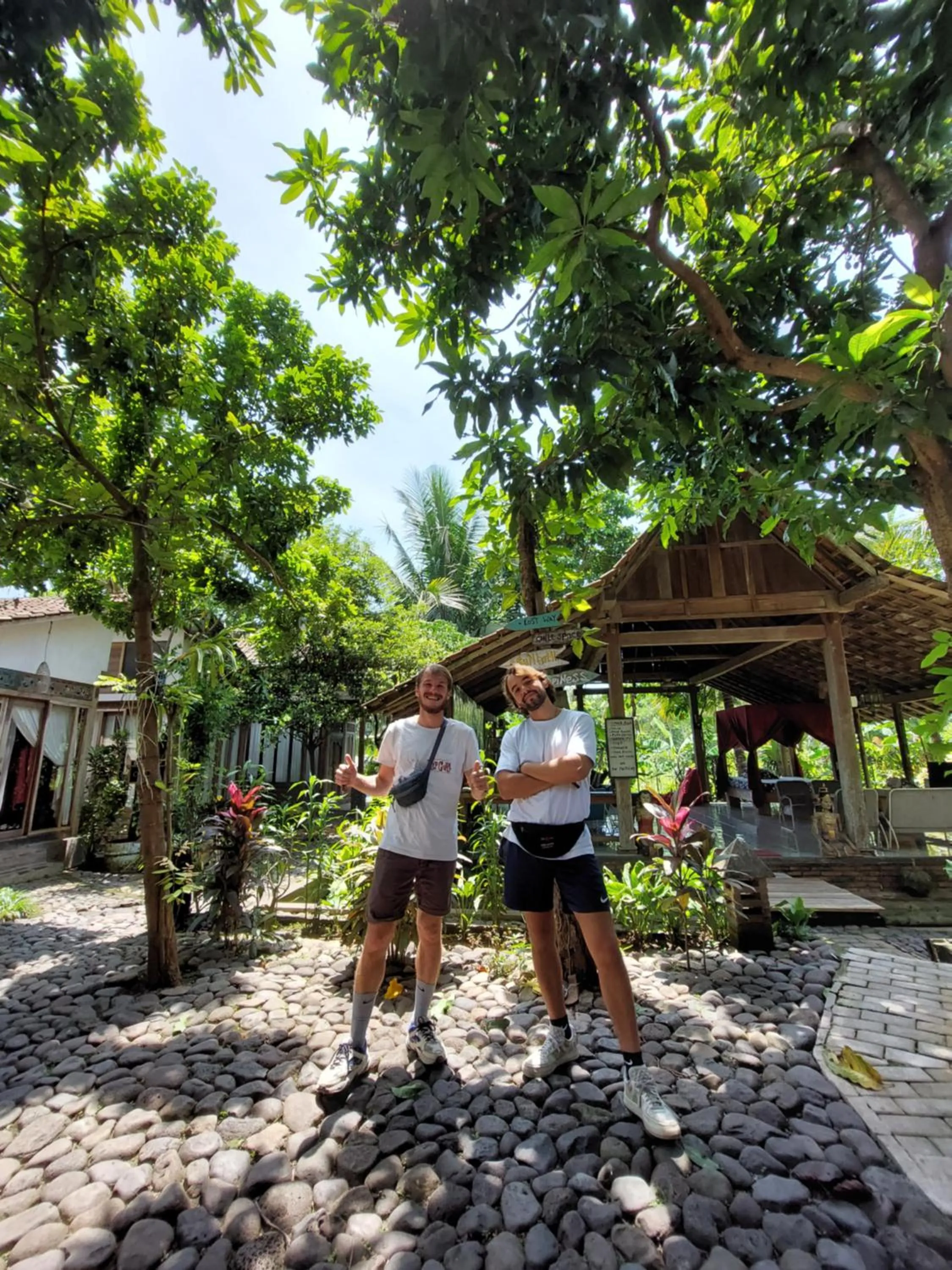 Day in Didu's Homestay Bed & Breakfast