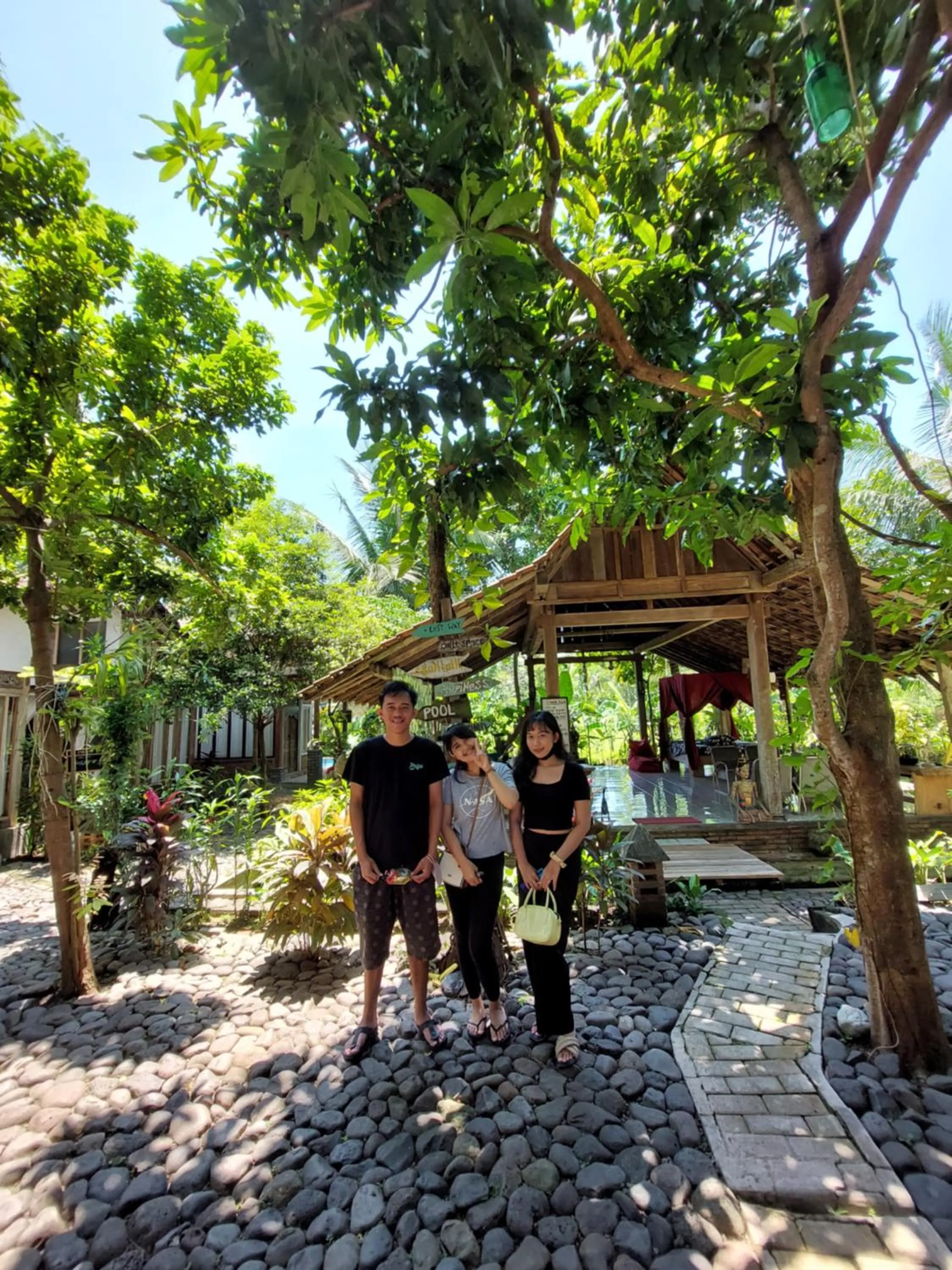 Day in Didu's Homestay Bed & Breakfast