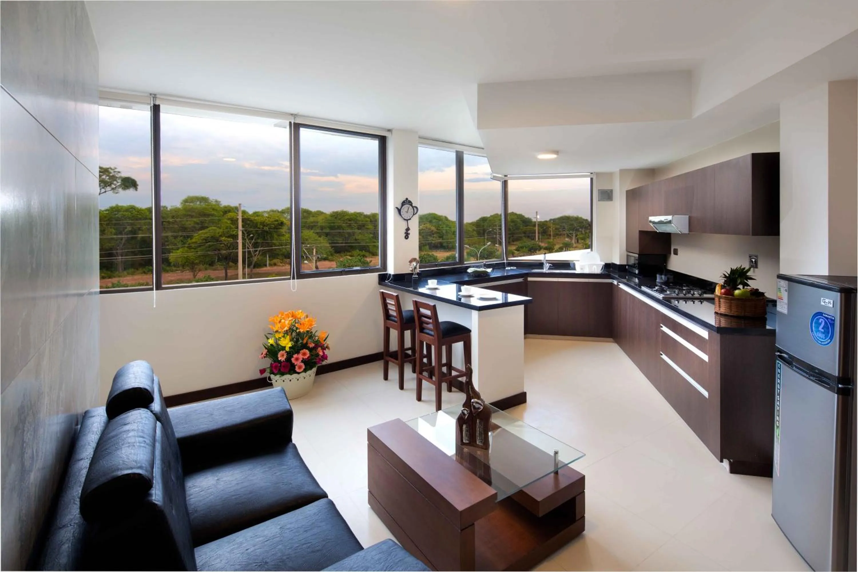 Kitchen or kitchenette in Mai Suites Apart Hotel