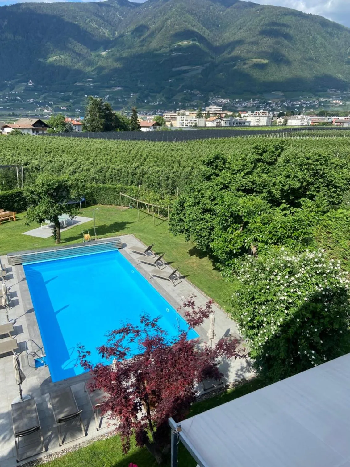 View (from property/room) in Pension Appartment Hecherhof