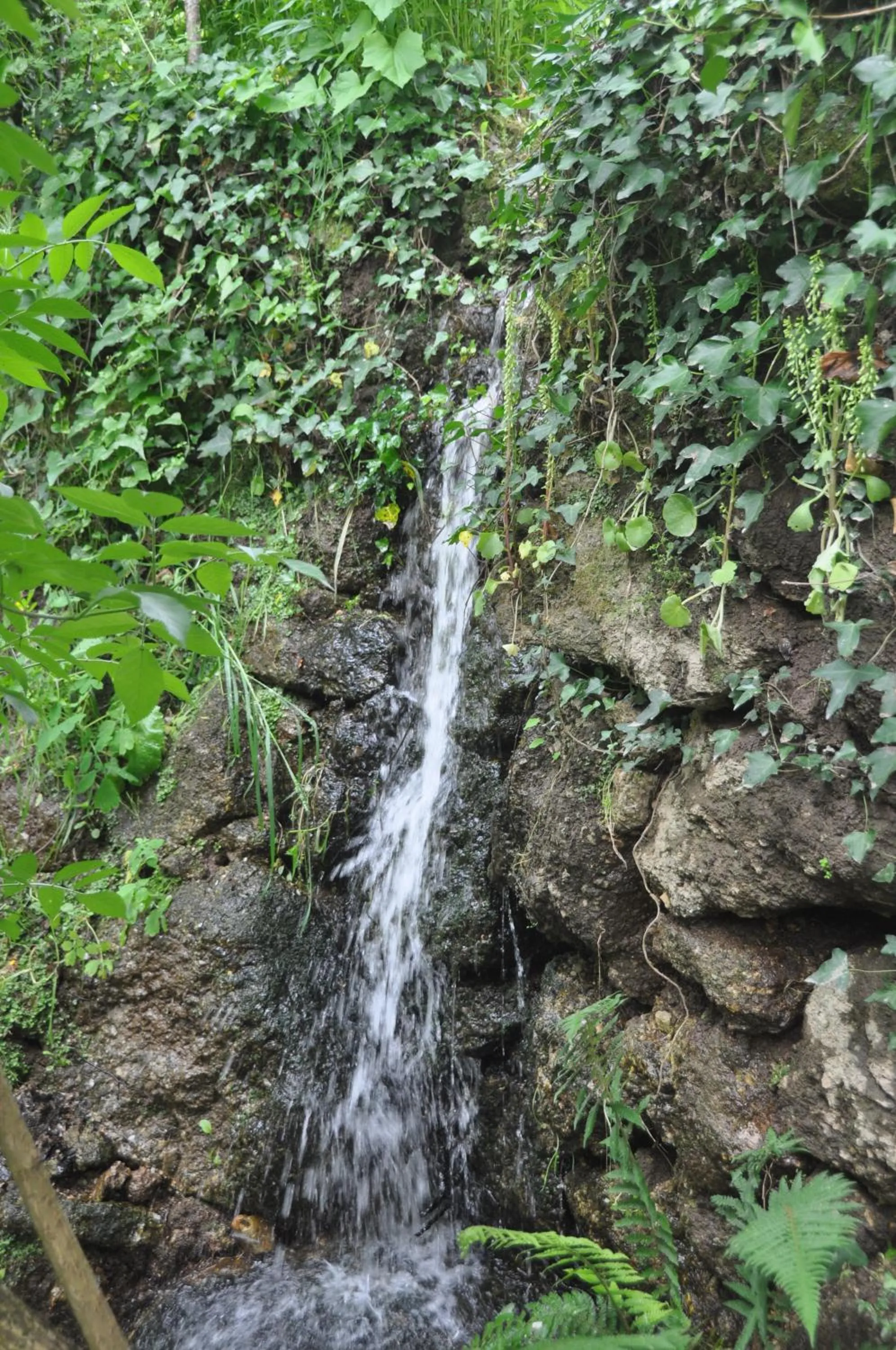 View (from property/room) in Casas Vale Martinho