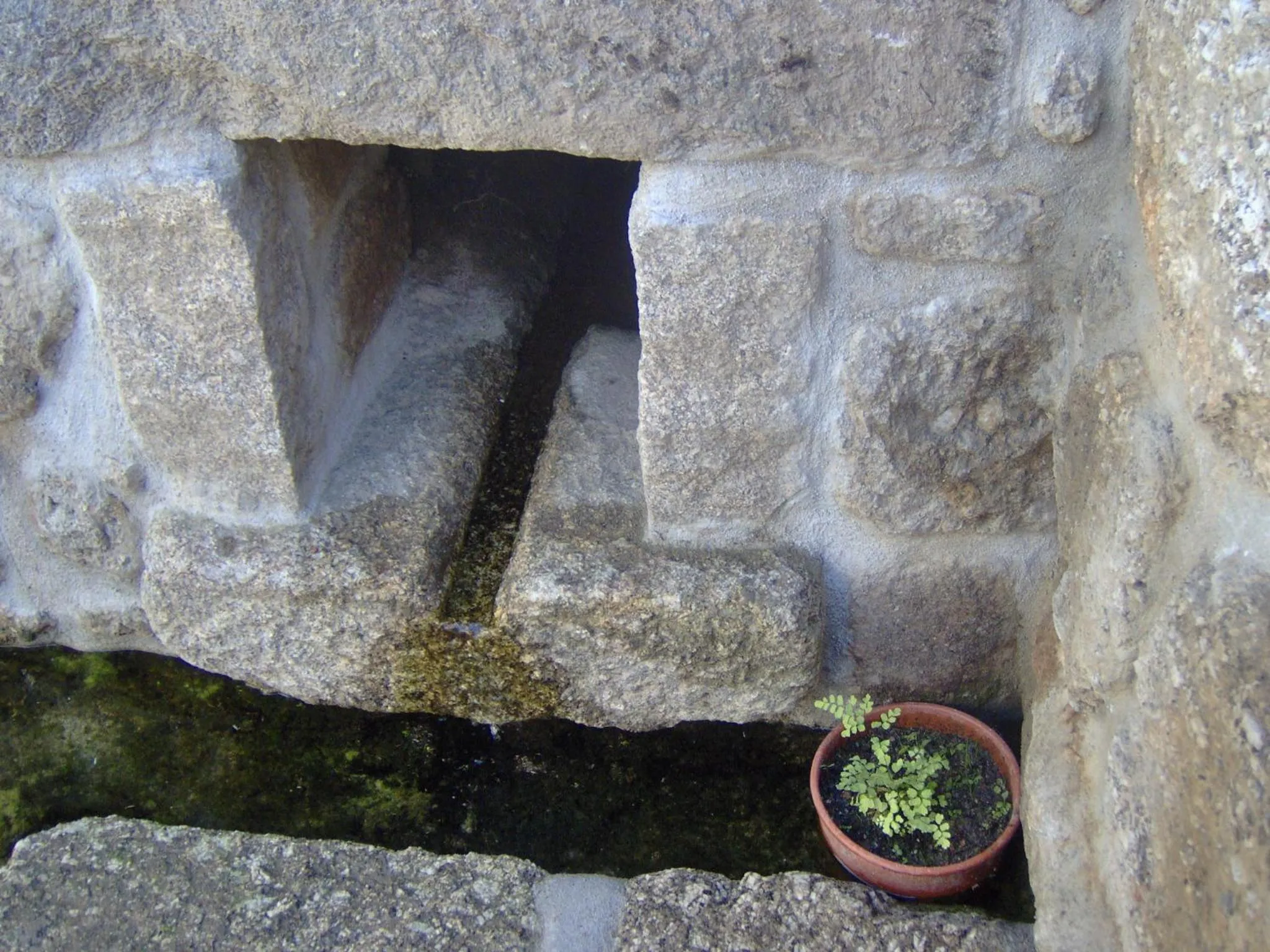 Garden in Casas Vale Martinho