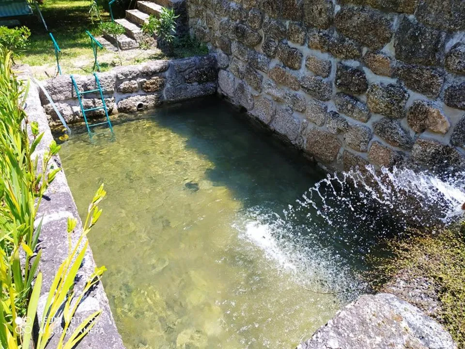 Garden view in Casas Vale Martinho