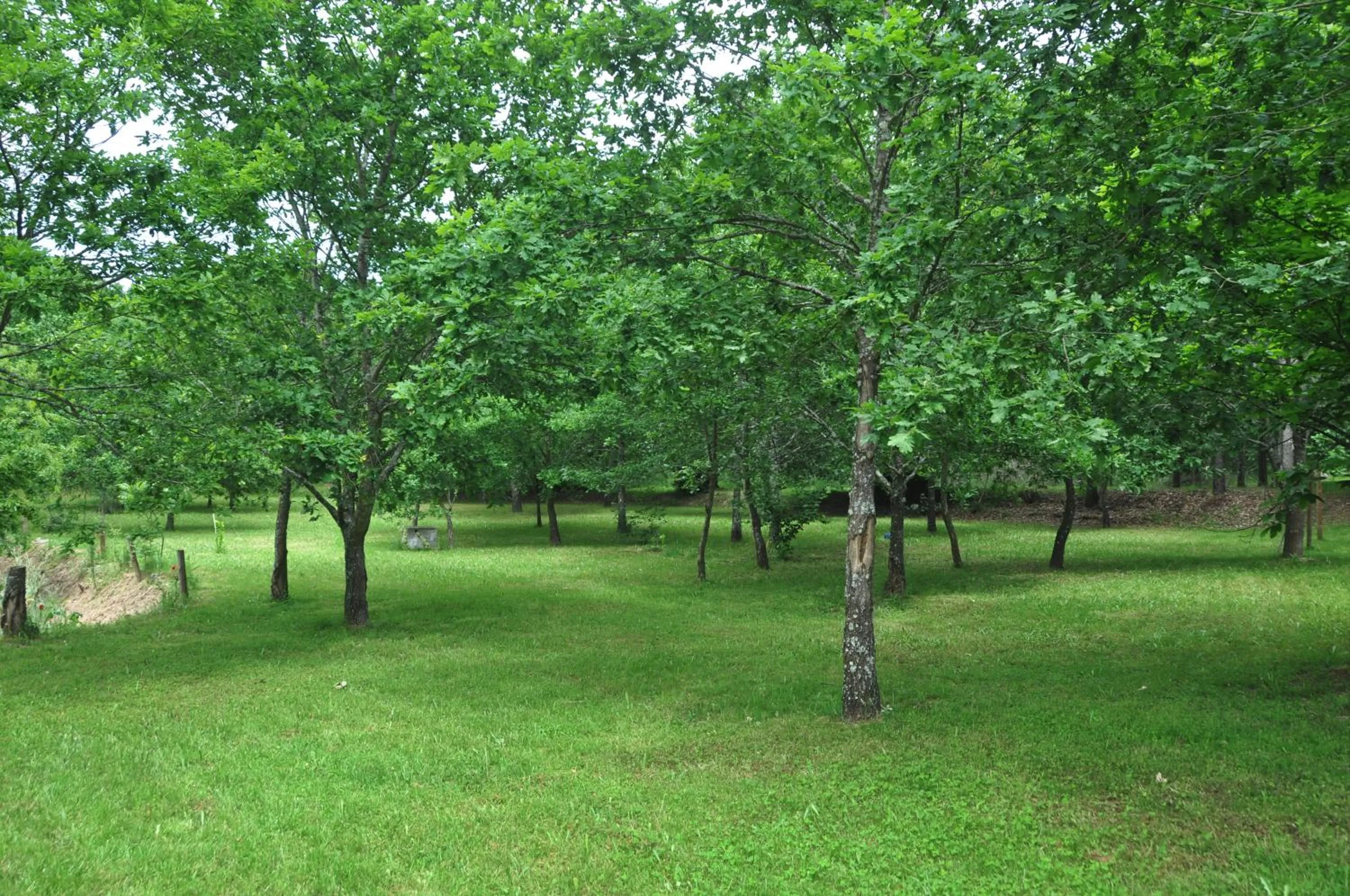 View (from property/room) in Casas Vale Martinho