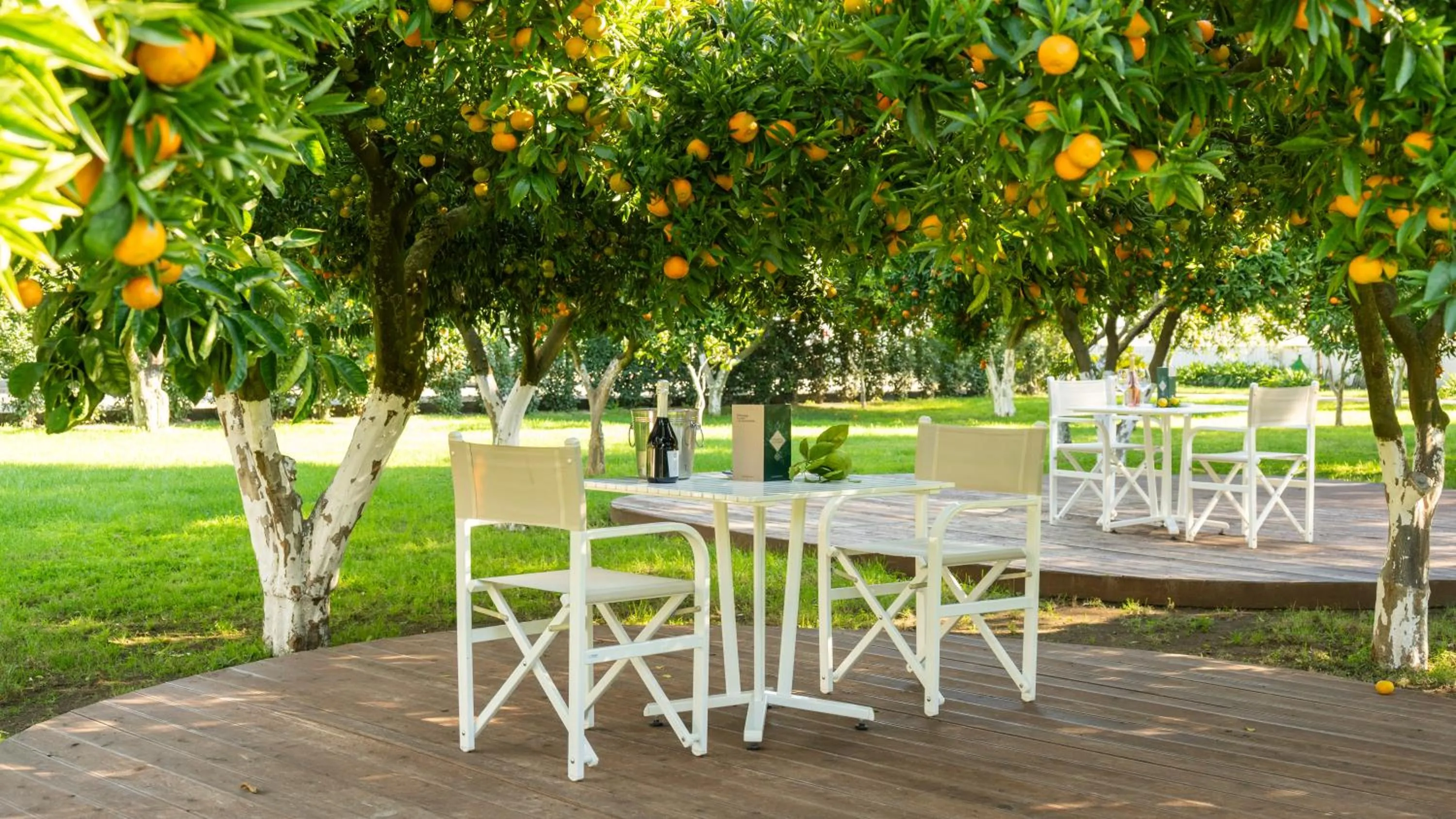 Garden in Resort & Winery Bosco De Medici