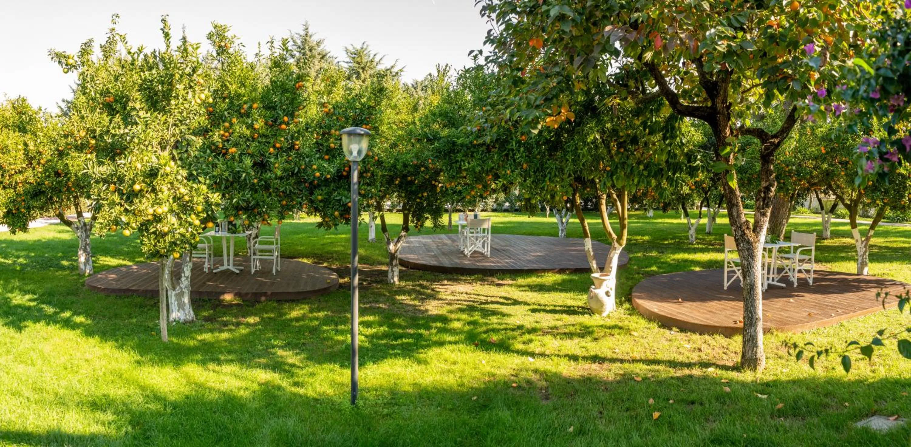 Garden in Resort & Winery Bosco De Medici