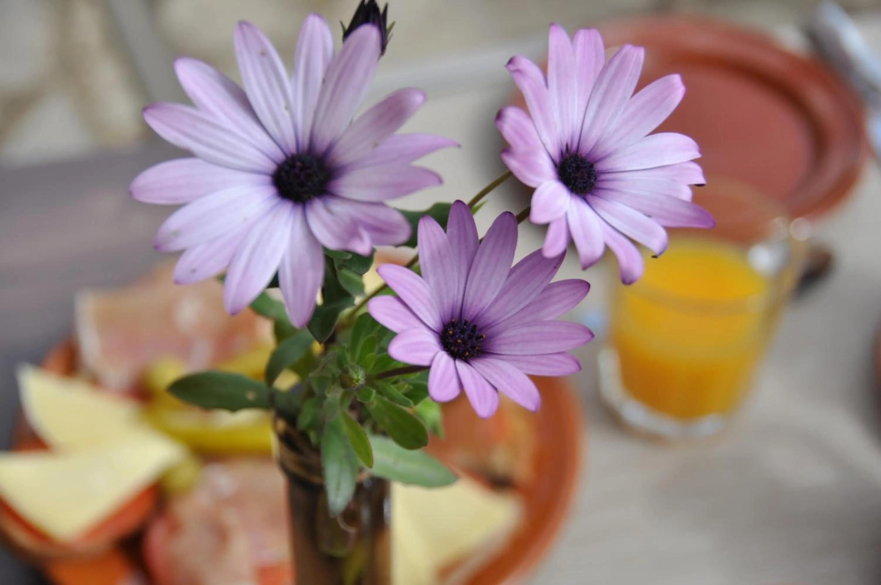 Decorative detail in Can Porretí Agroturisme