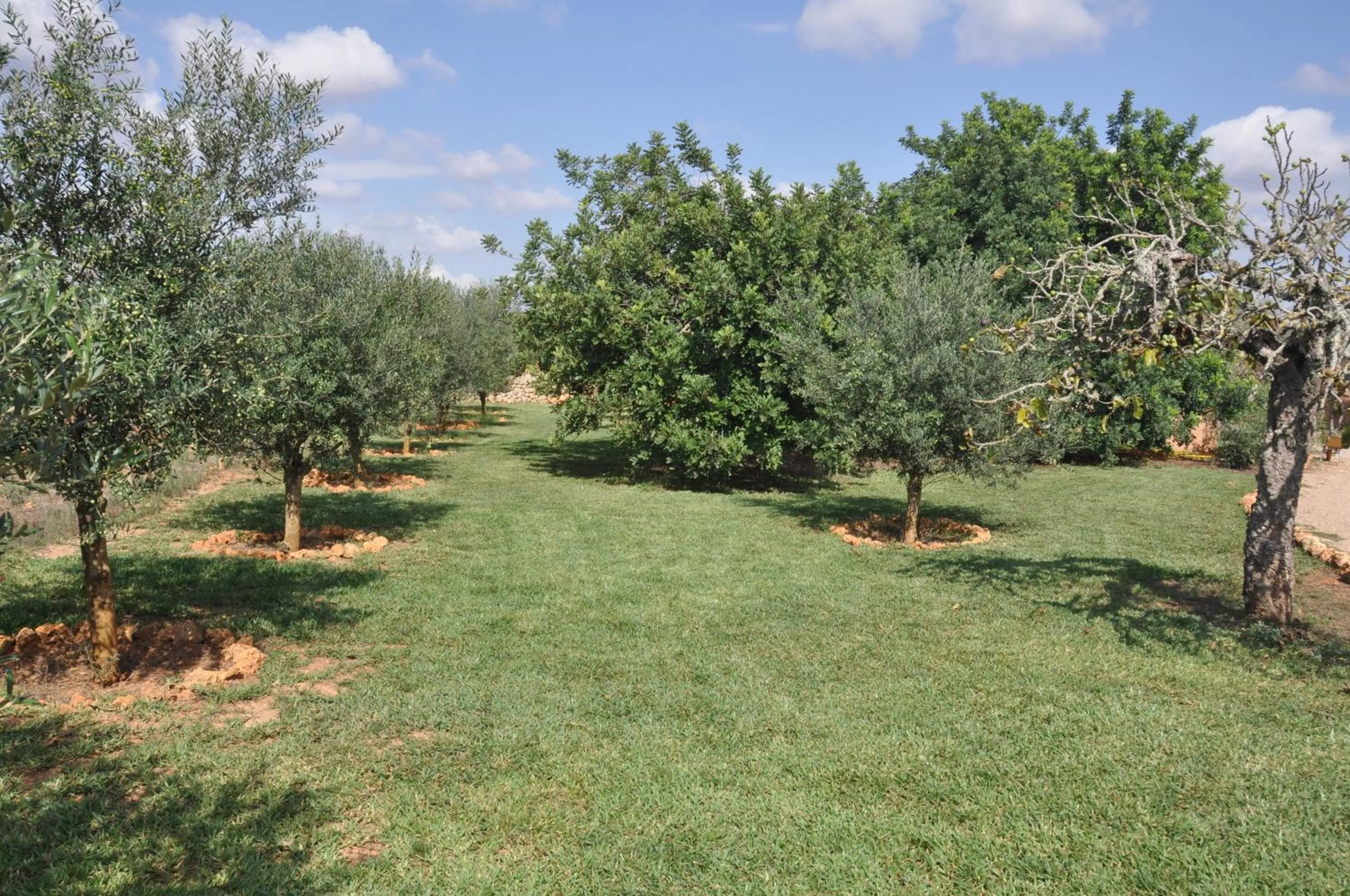 Garden in Can Porretí Agroturisme