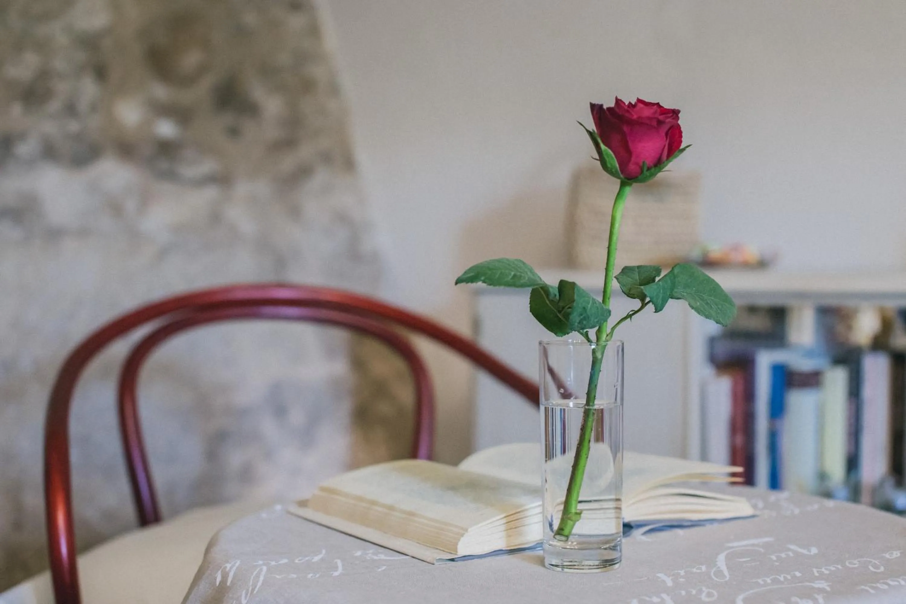 Communal lounge/ TV room, Bed in Sabbinirica