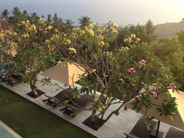 Natural landscape in The Puncak Lombok