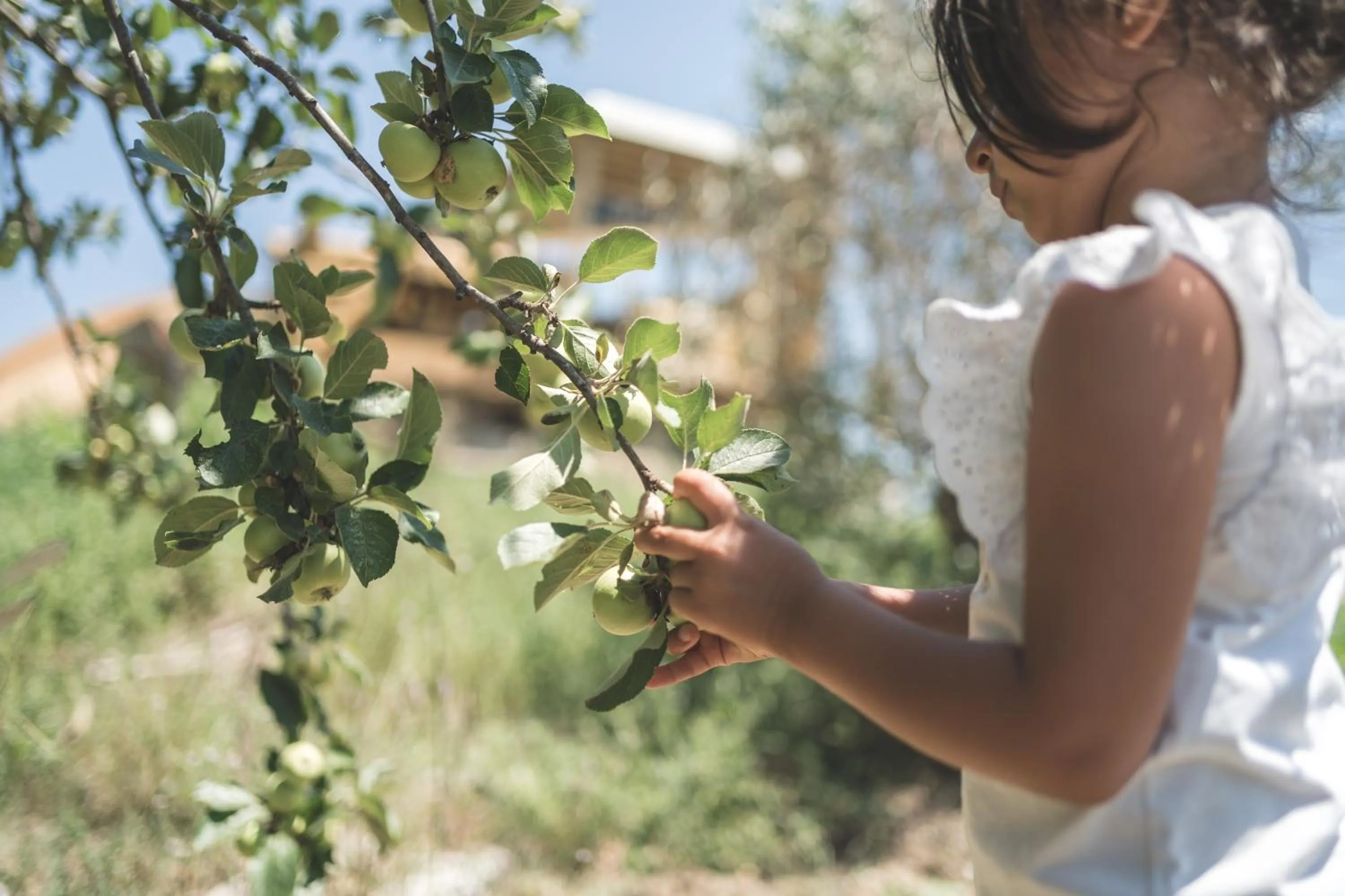Fattoria Didattica La Collina Incantata