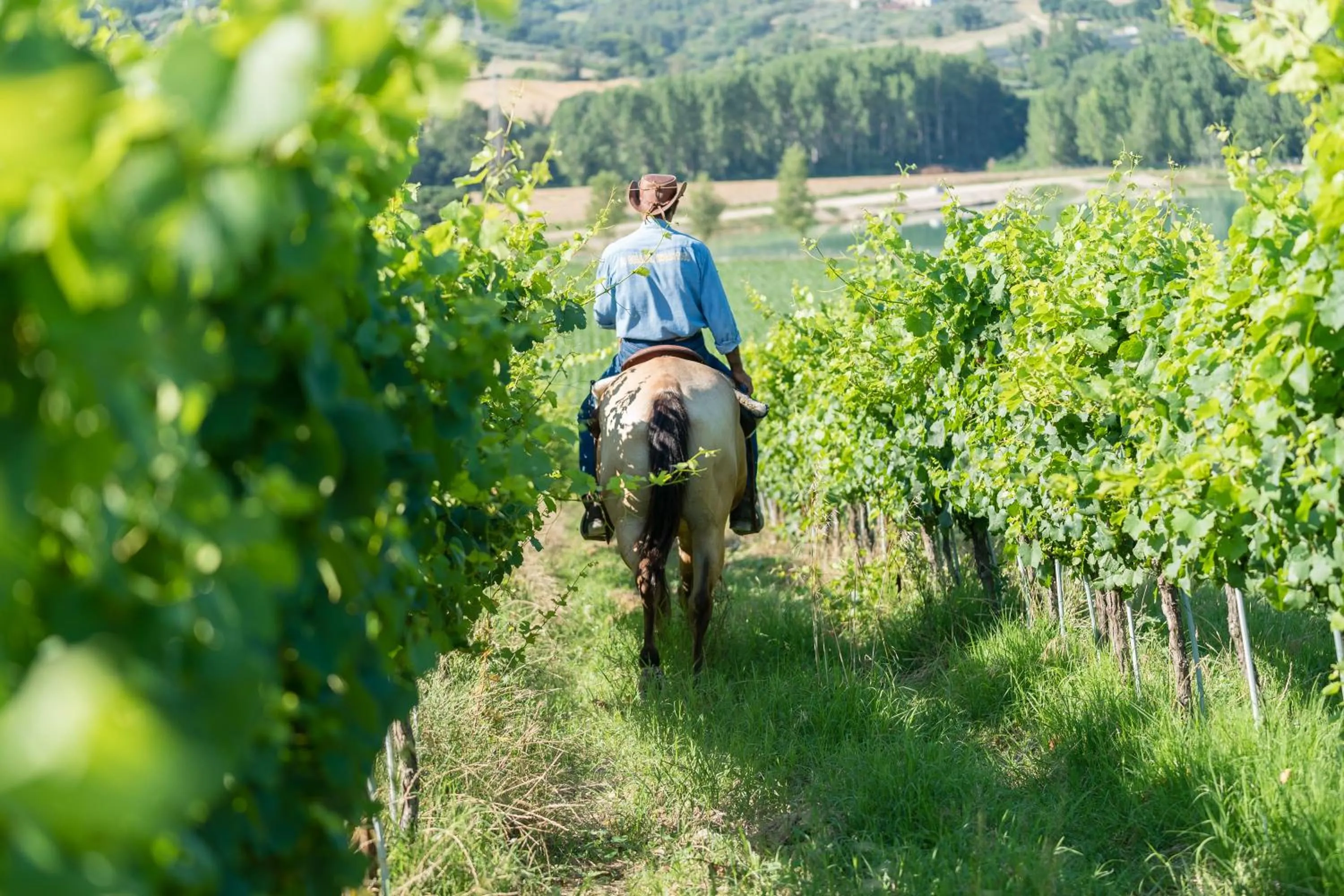 Fattoria Didattica La Collina Incantata