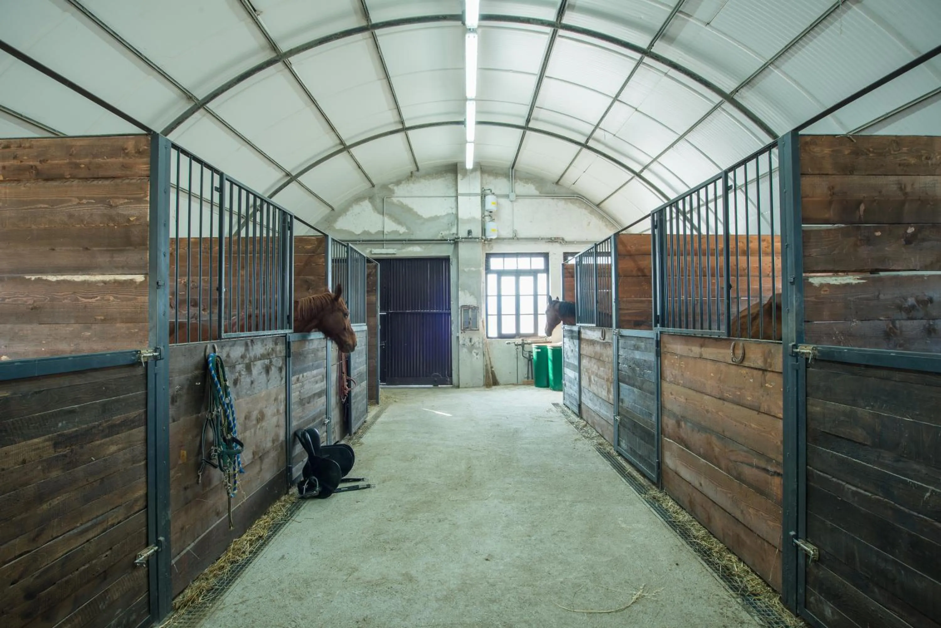 Horse-riding in Fattoria Didattica La Collina Incantata