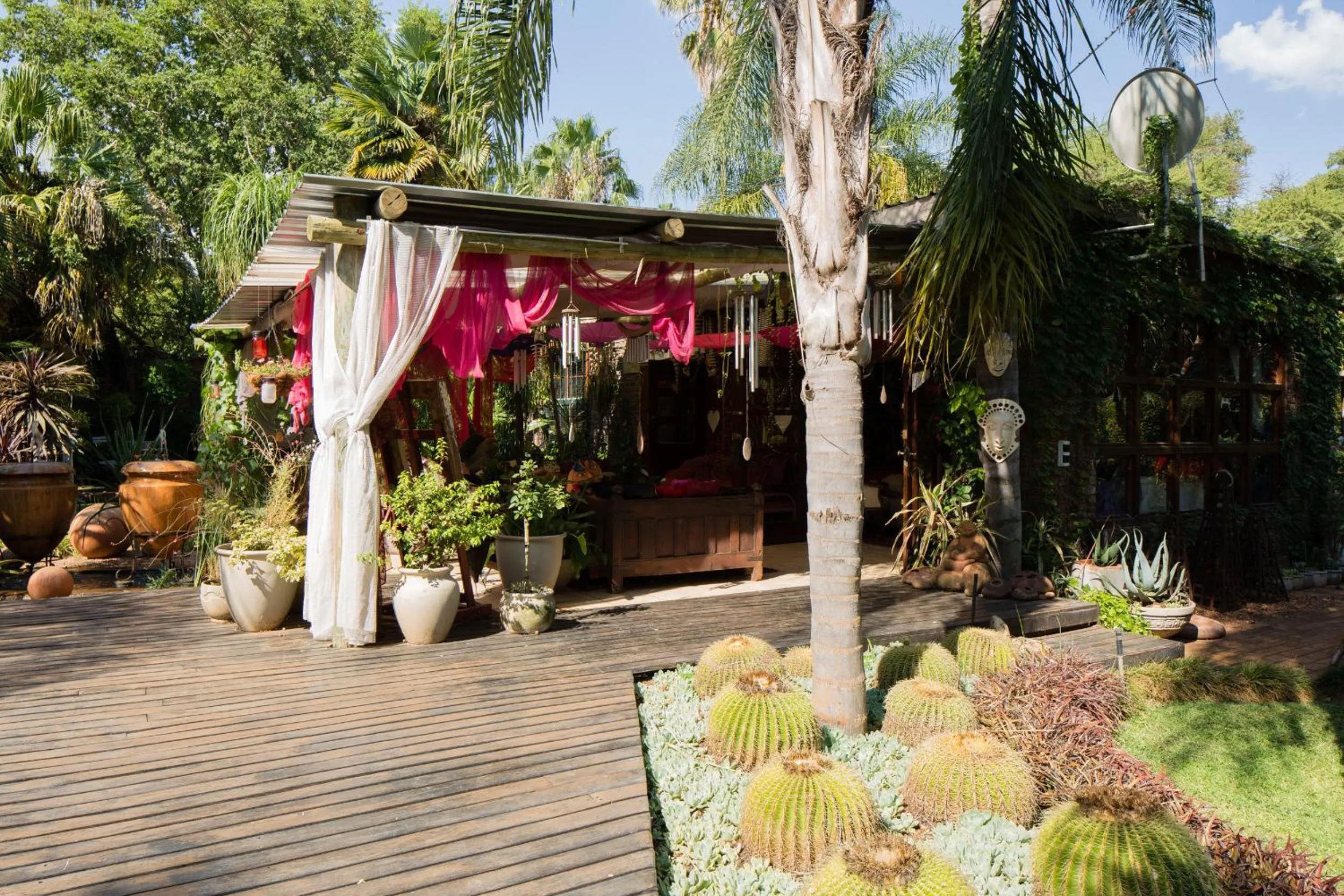 Garden in The Art Guesthouse