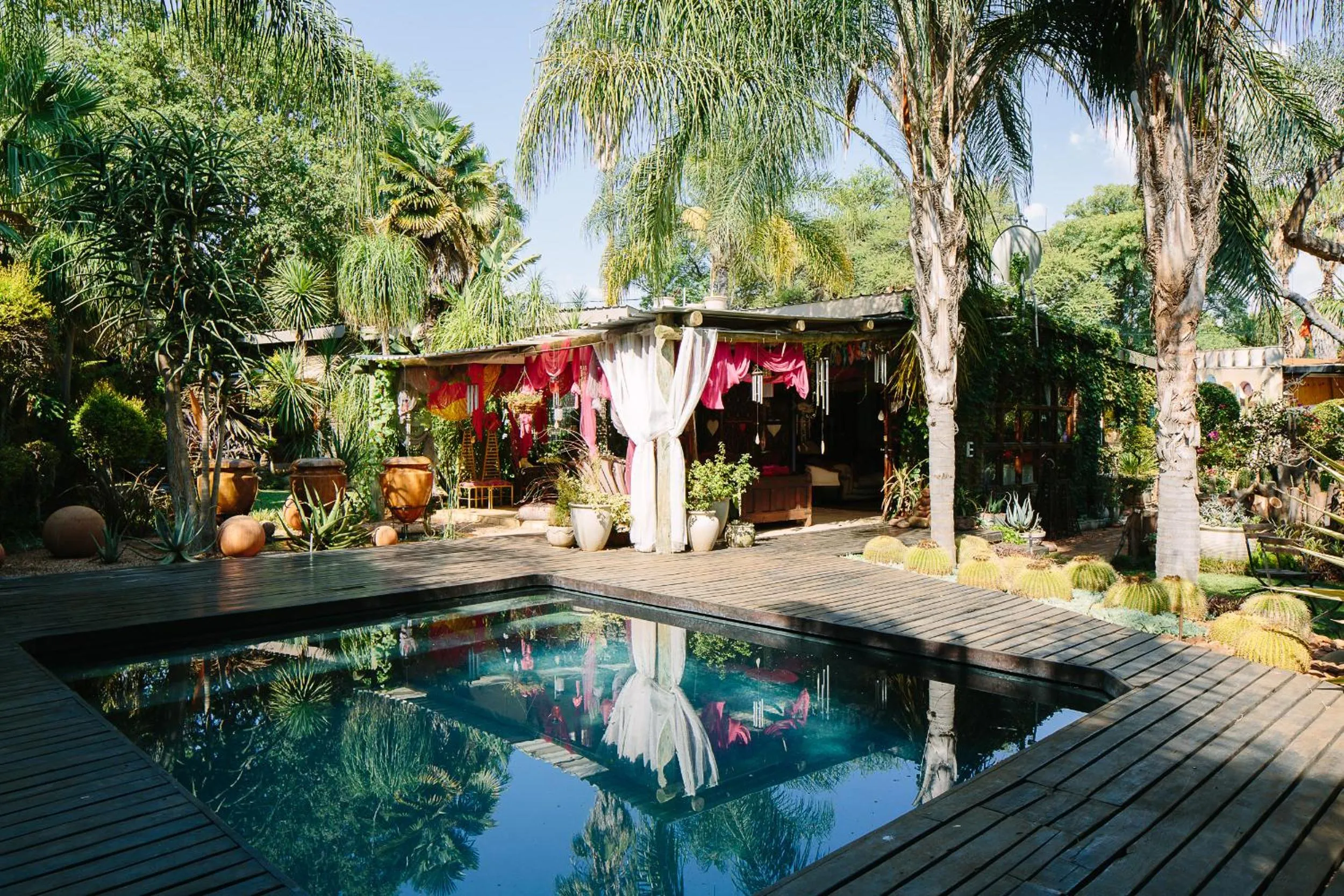 Garden in The Art Guesthouse