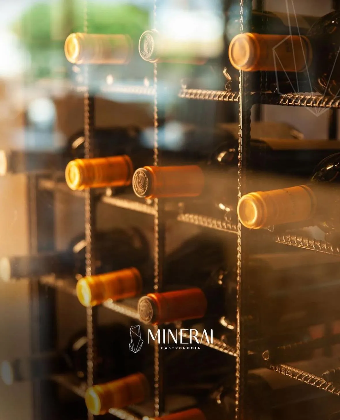 Restaurant/places to eat in Pumma Business Hotel