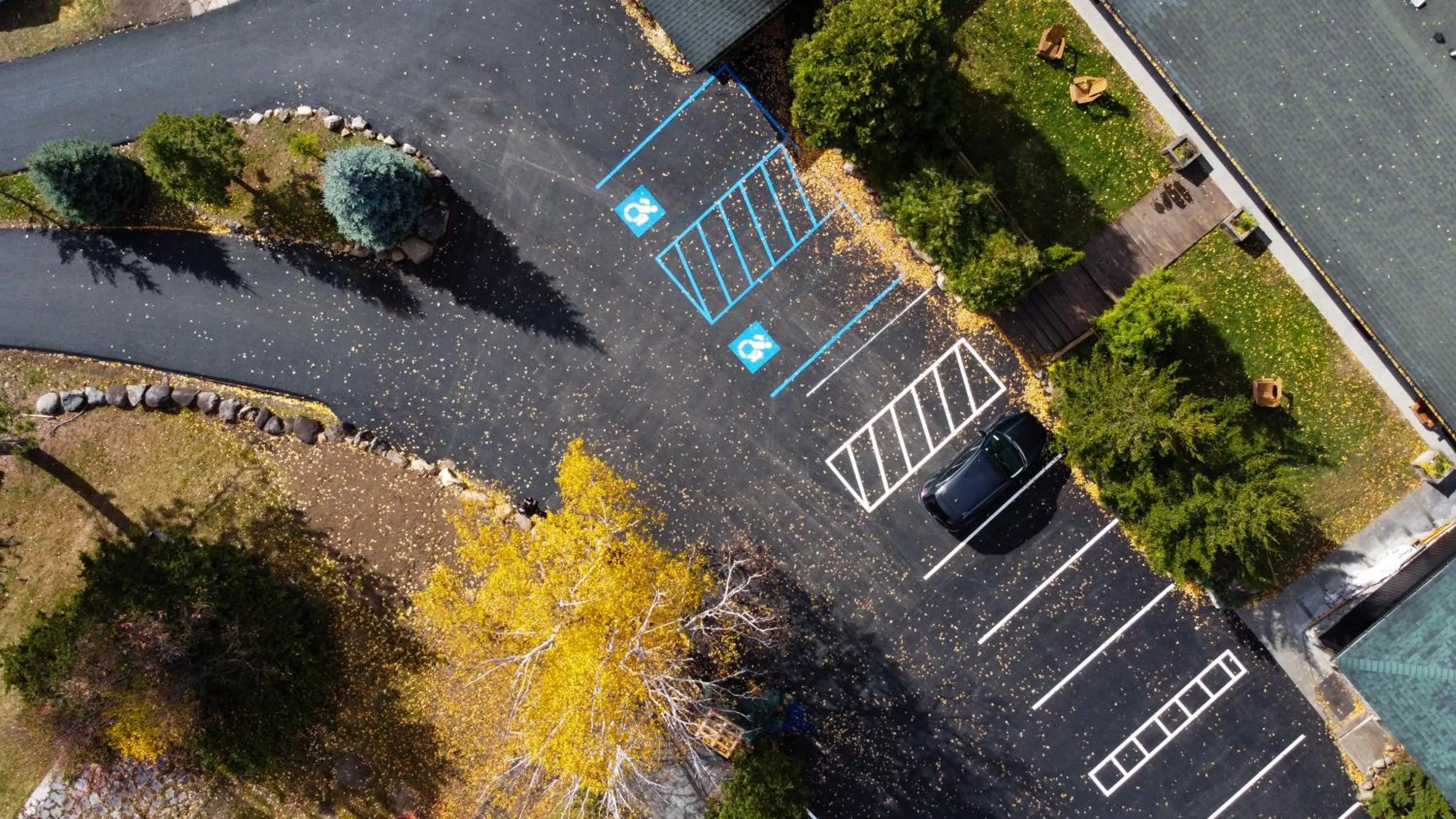 Adirondack Spruce Lodge