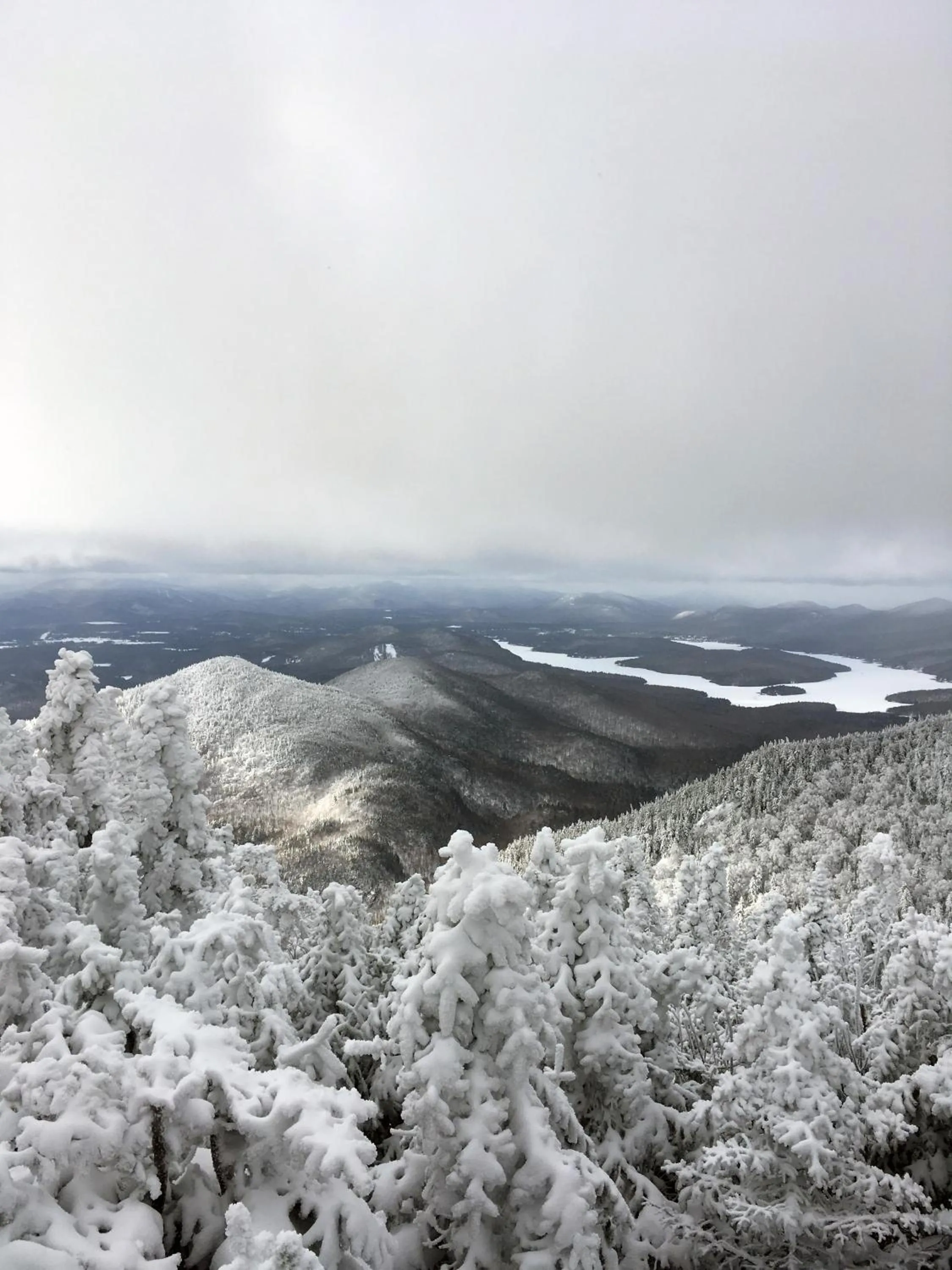 Natural landscape in Adirondack Spruce Lodge