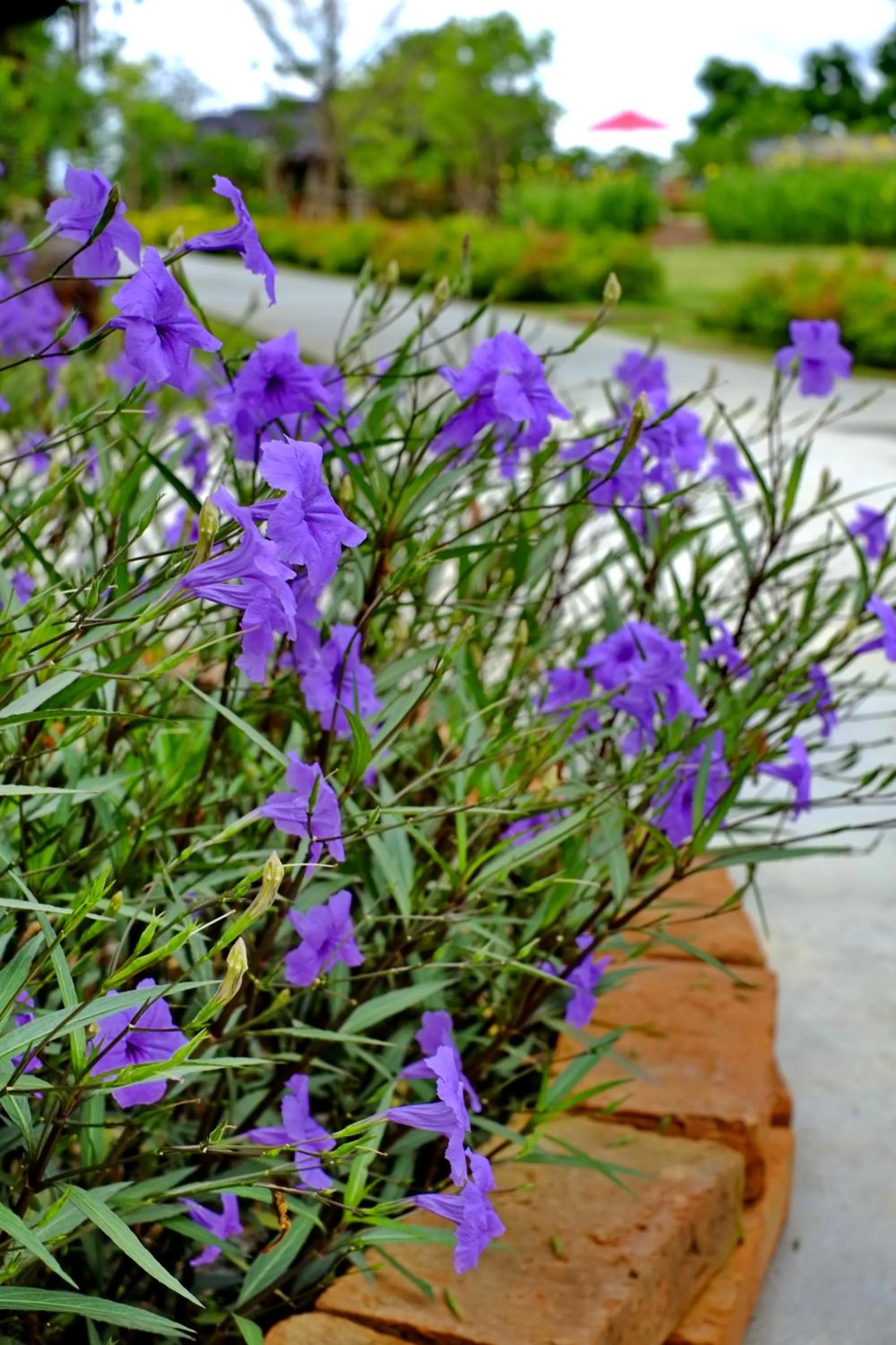 Decorative detail in Sawasdee Sukhothai Resort