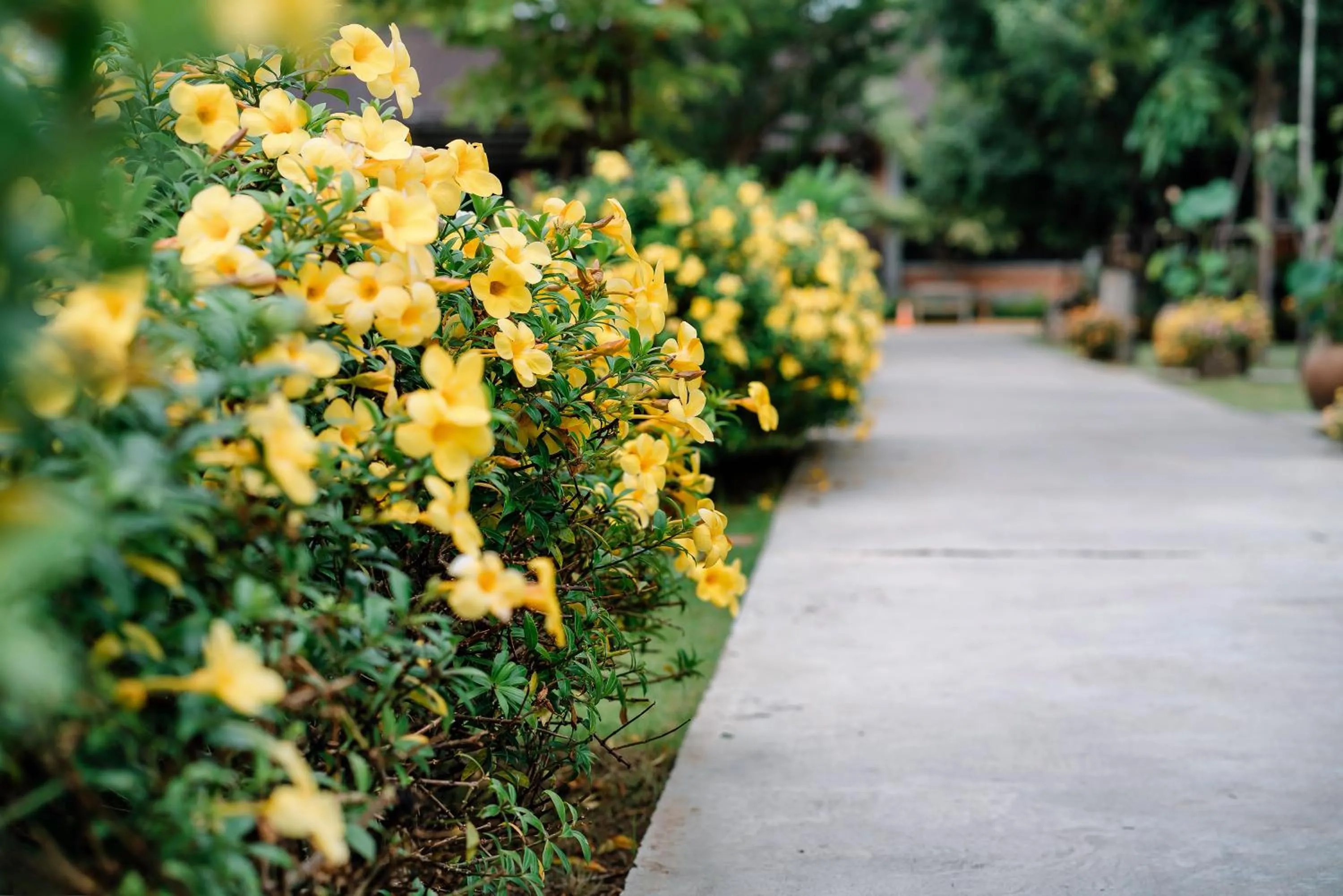 Decorative detail in Sawasdee Sukhothai Resort