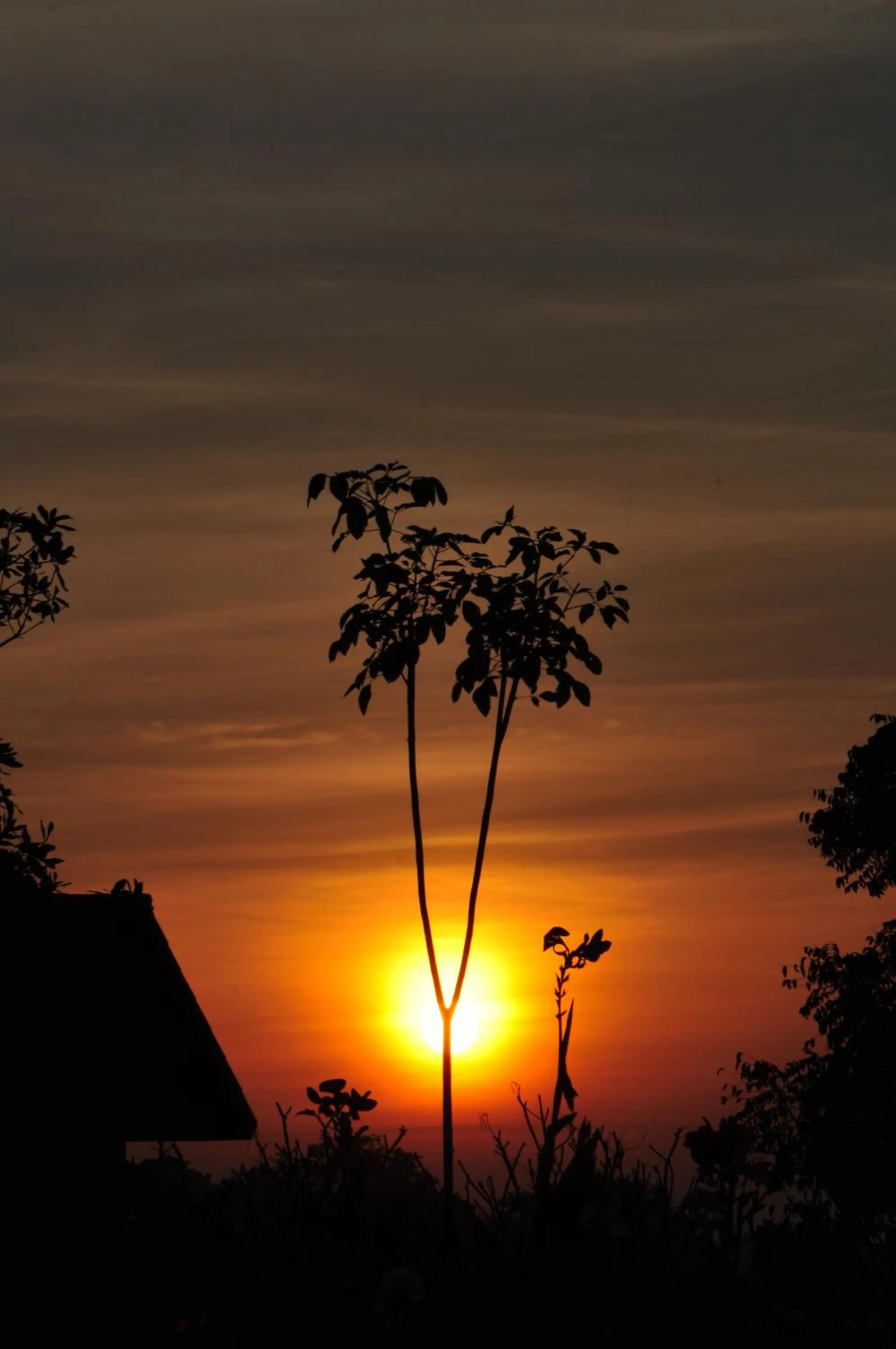 Sunrise in Sawasdee Sukhothai Resort