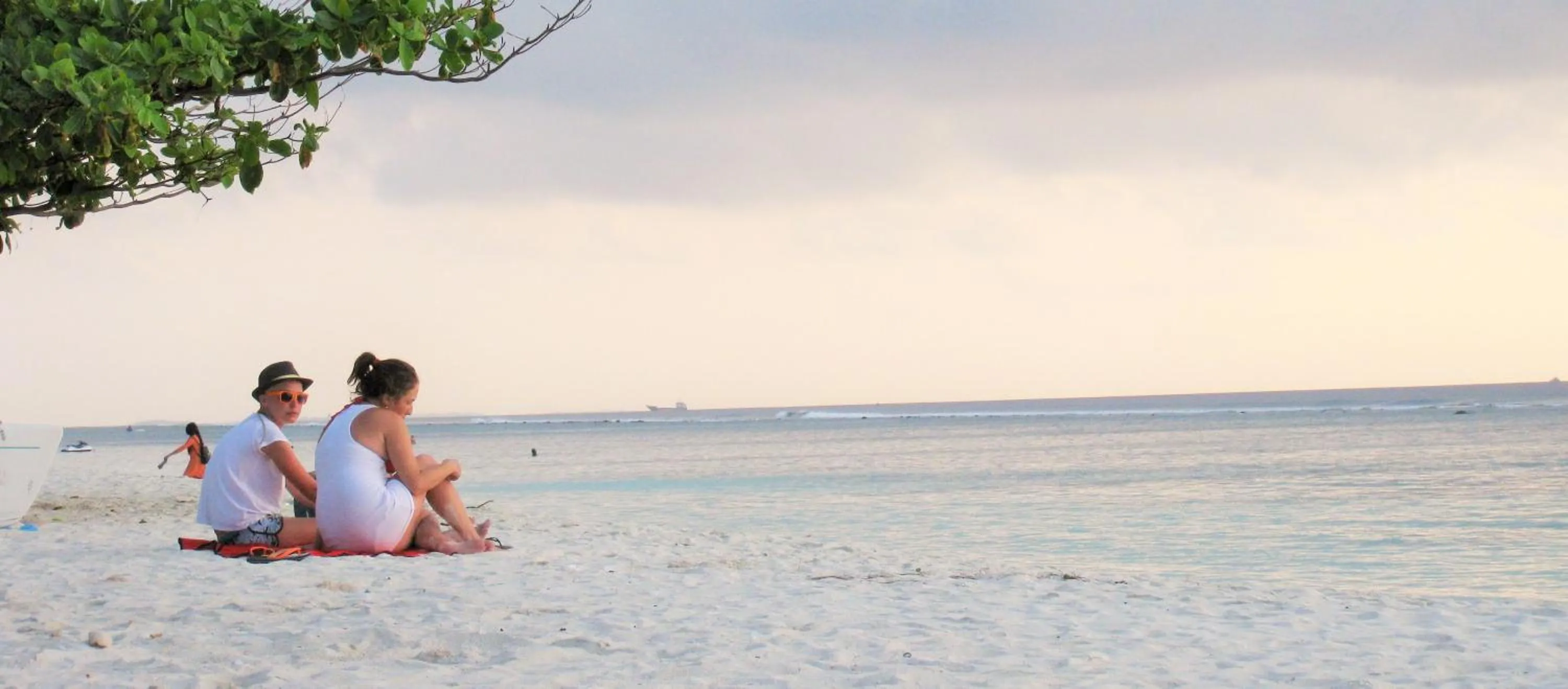 Beach in Planktons Beach