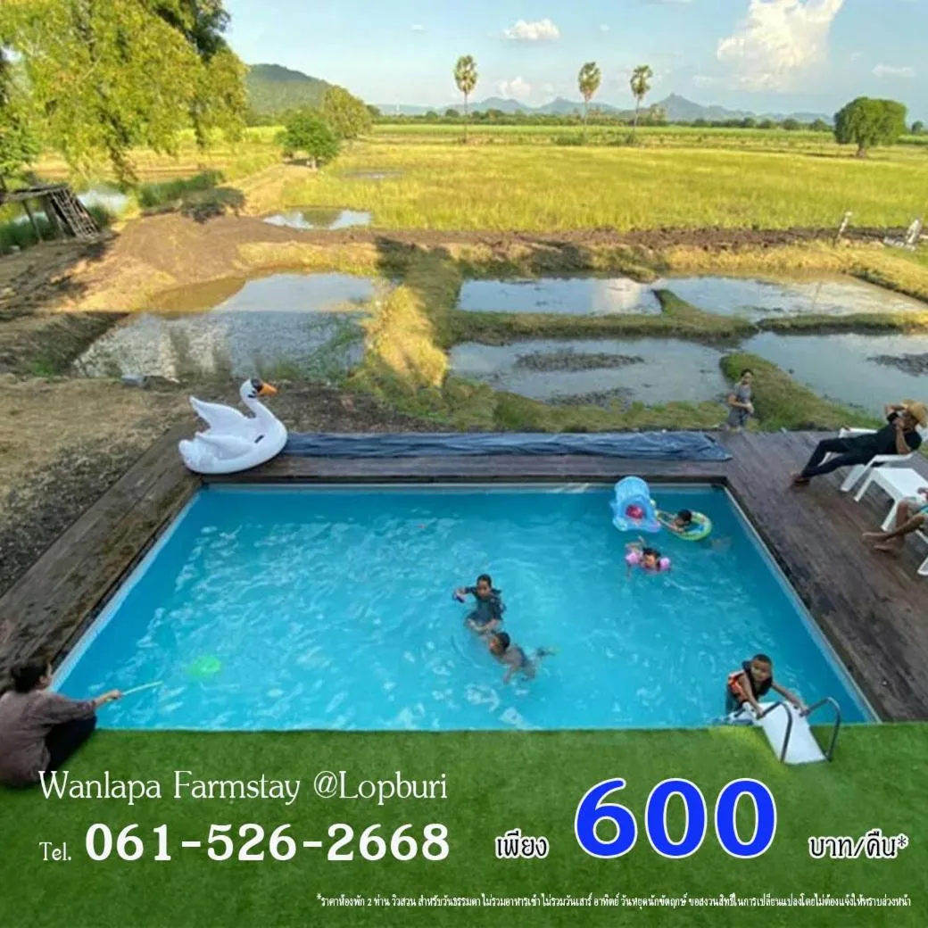 Swimming pool in Wanlapa Farmstay