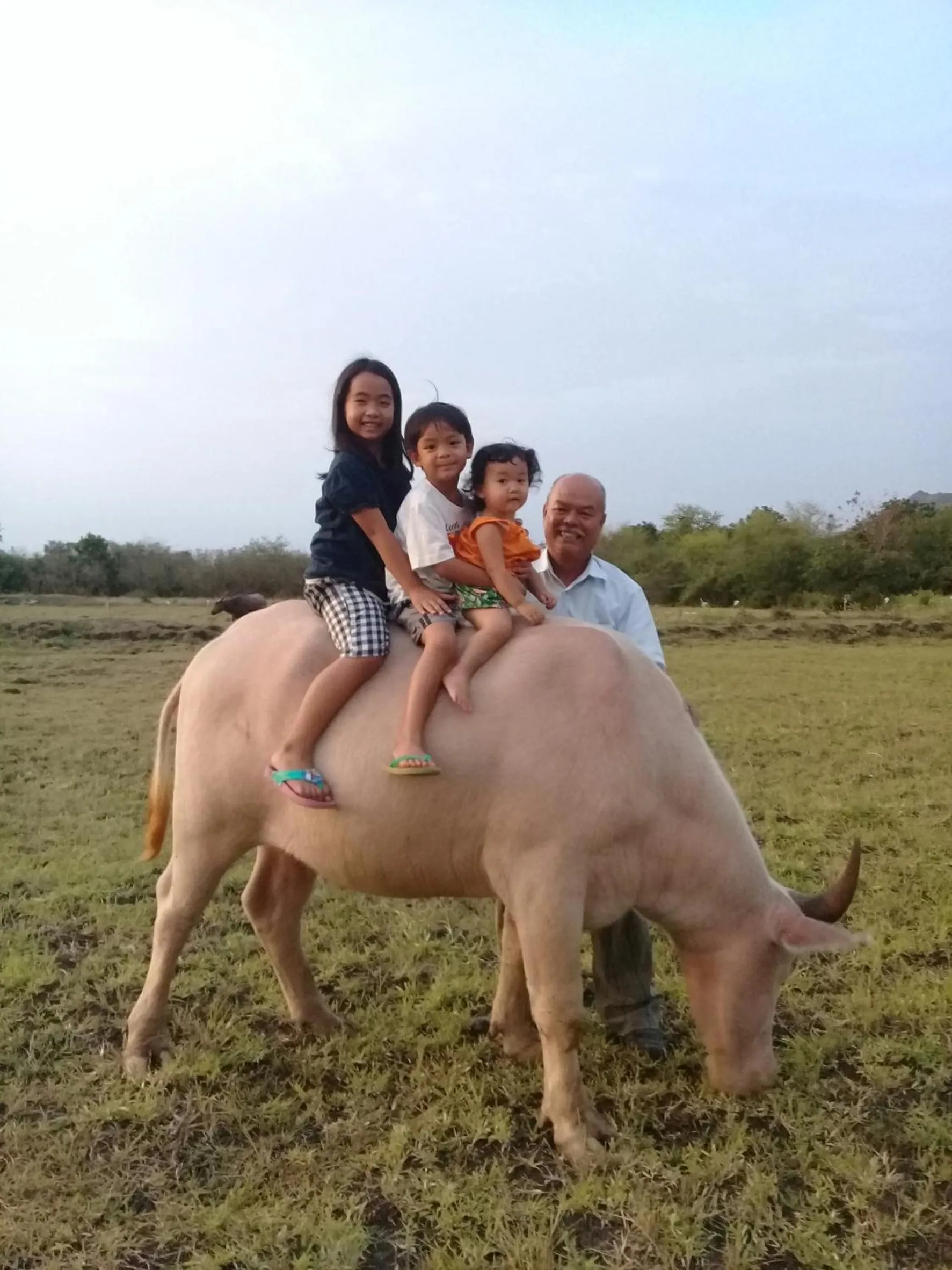 Activities in Wanlapa Farmstay